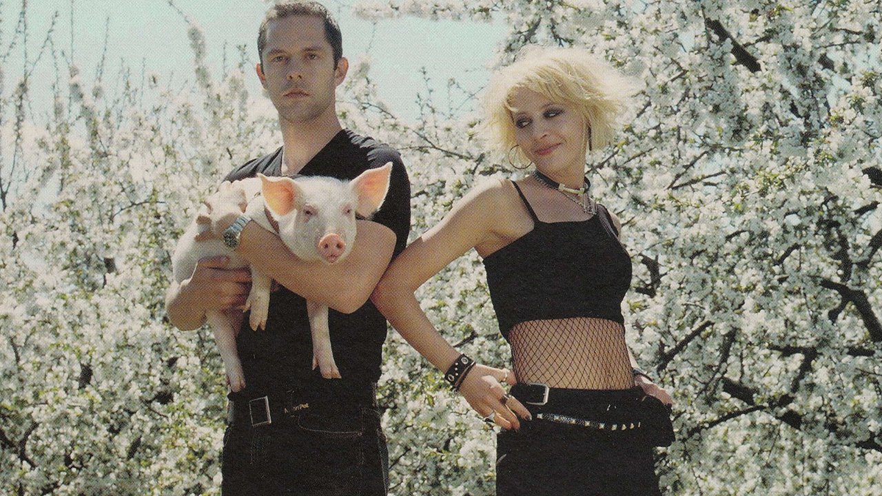 Honey and the Pig Background