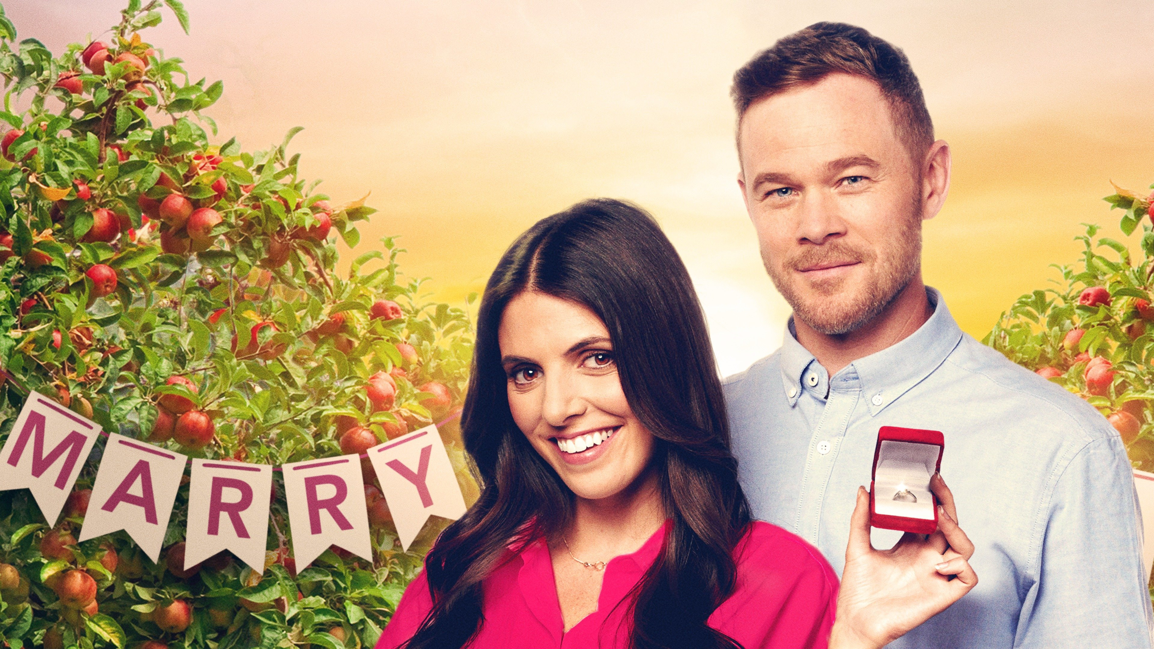 Cider and Sunsets Background