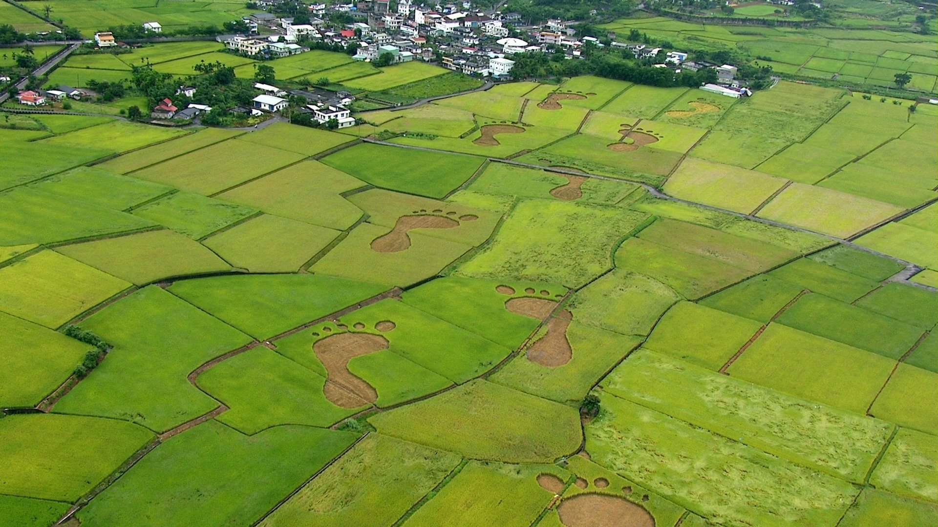 Beyond Beauty: Taiwan from Above Background