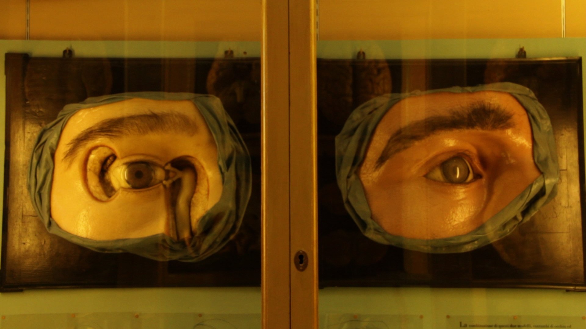 Chasing The Wind Background