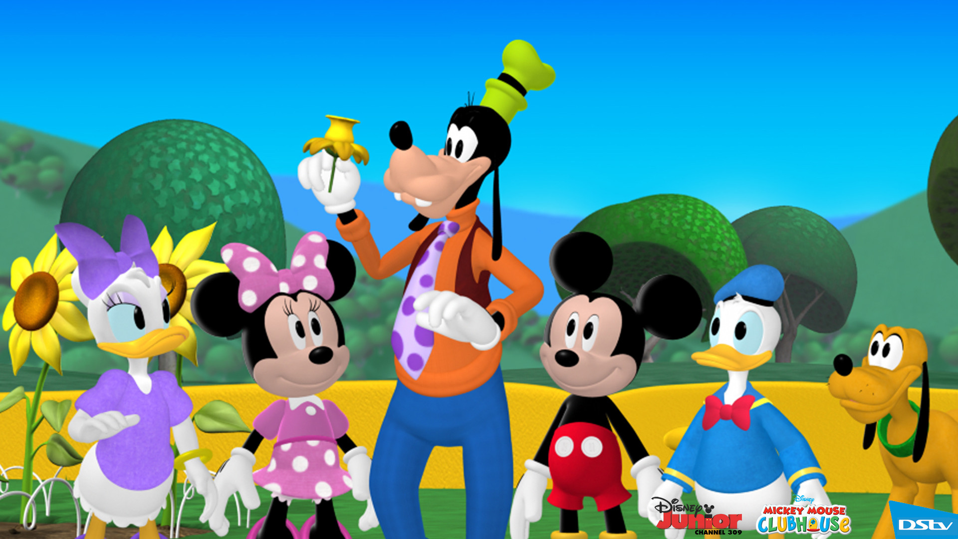 Mickey Mouse Clubhouse: Mickey's Sport-Y-Thon Background