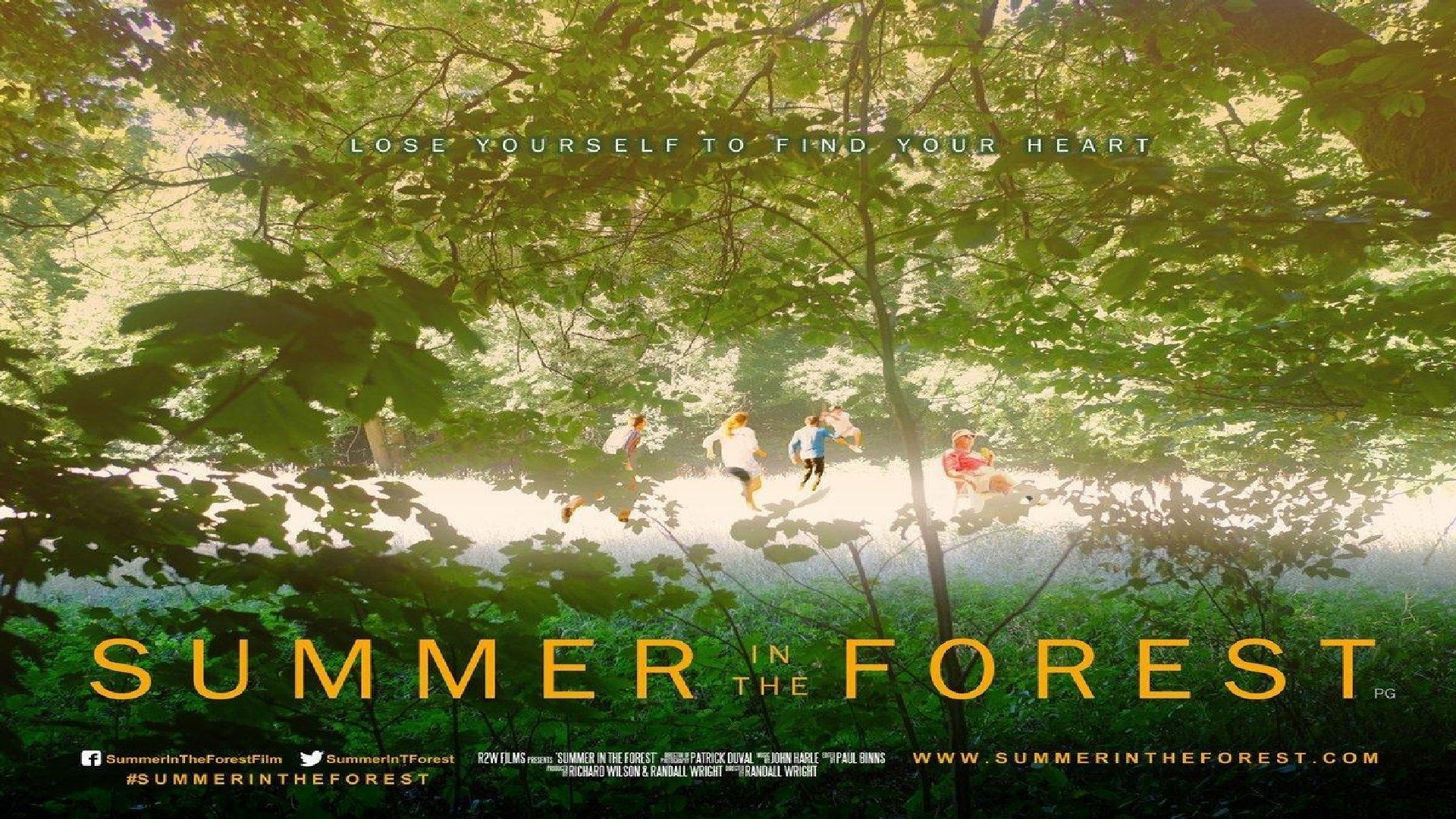 Summer in the Forest Background