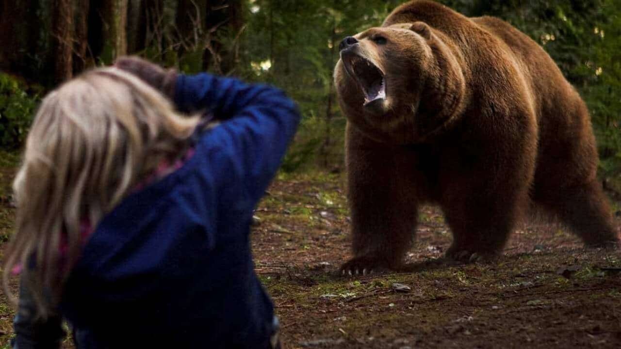 Grizzly Rage Background