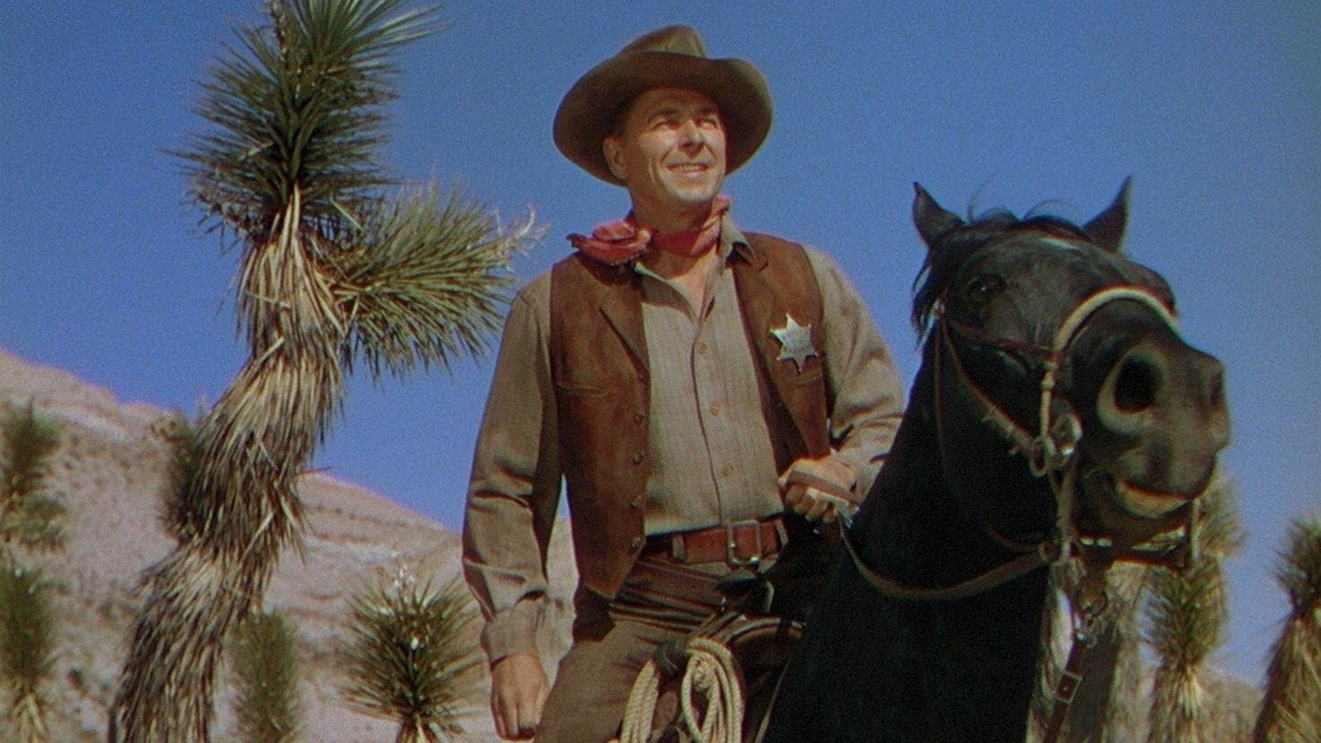 Law and Order Background