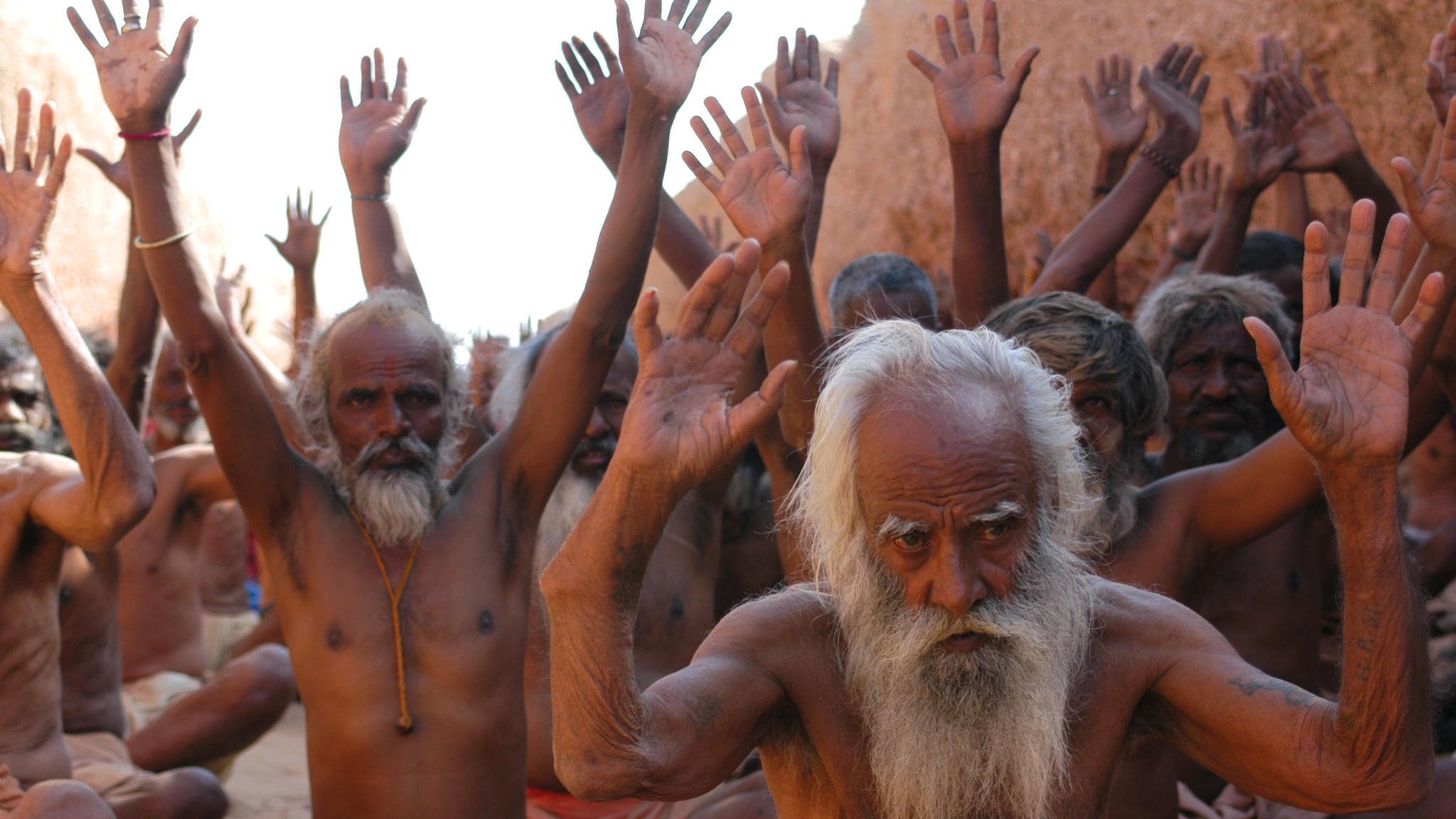 Scream of the Ants Background