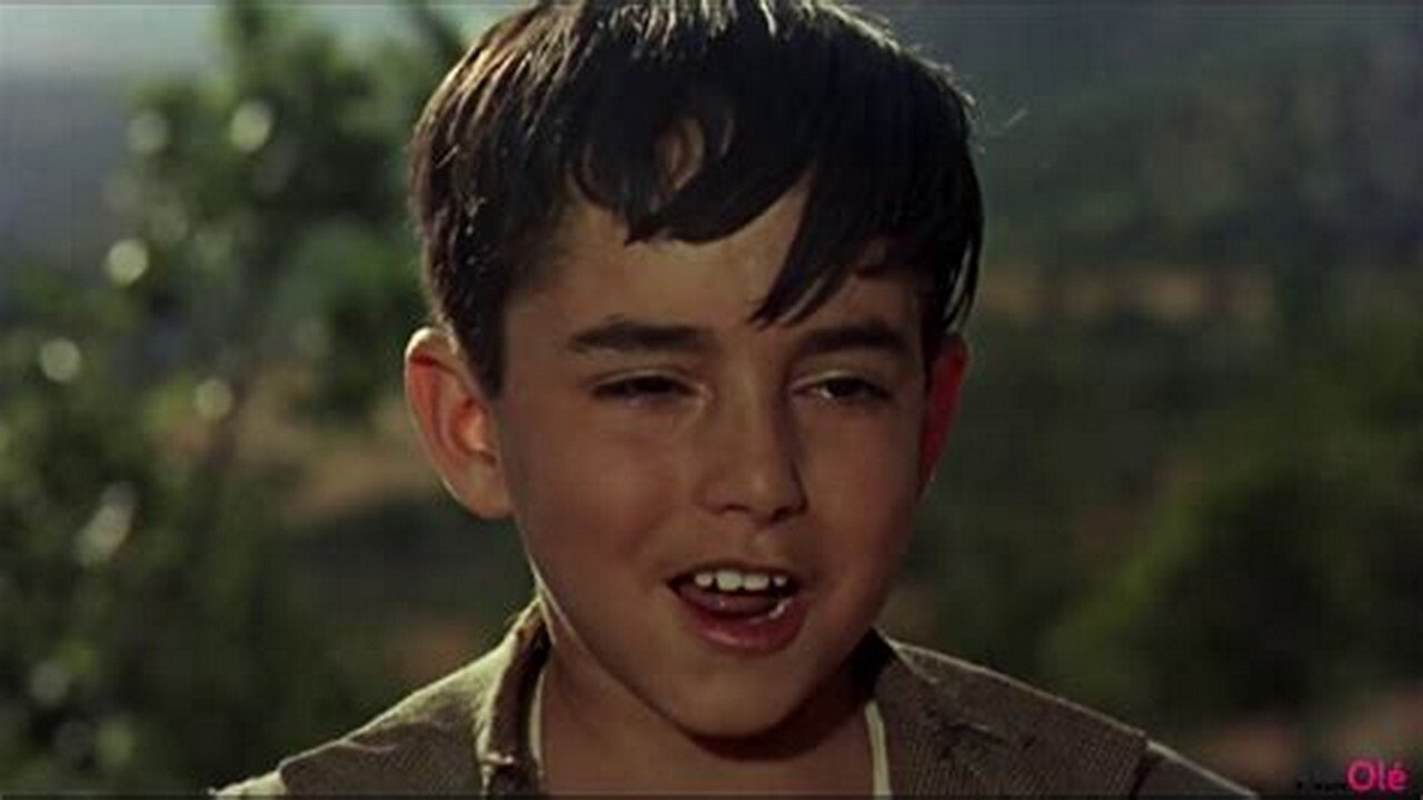 Saeta del ruiseñor Background