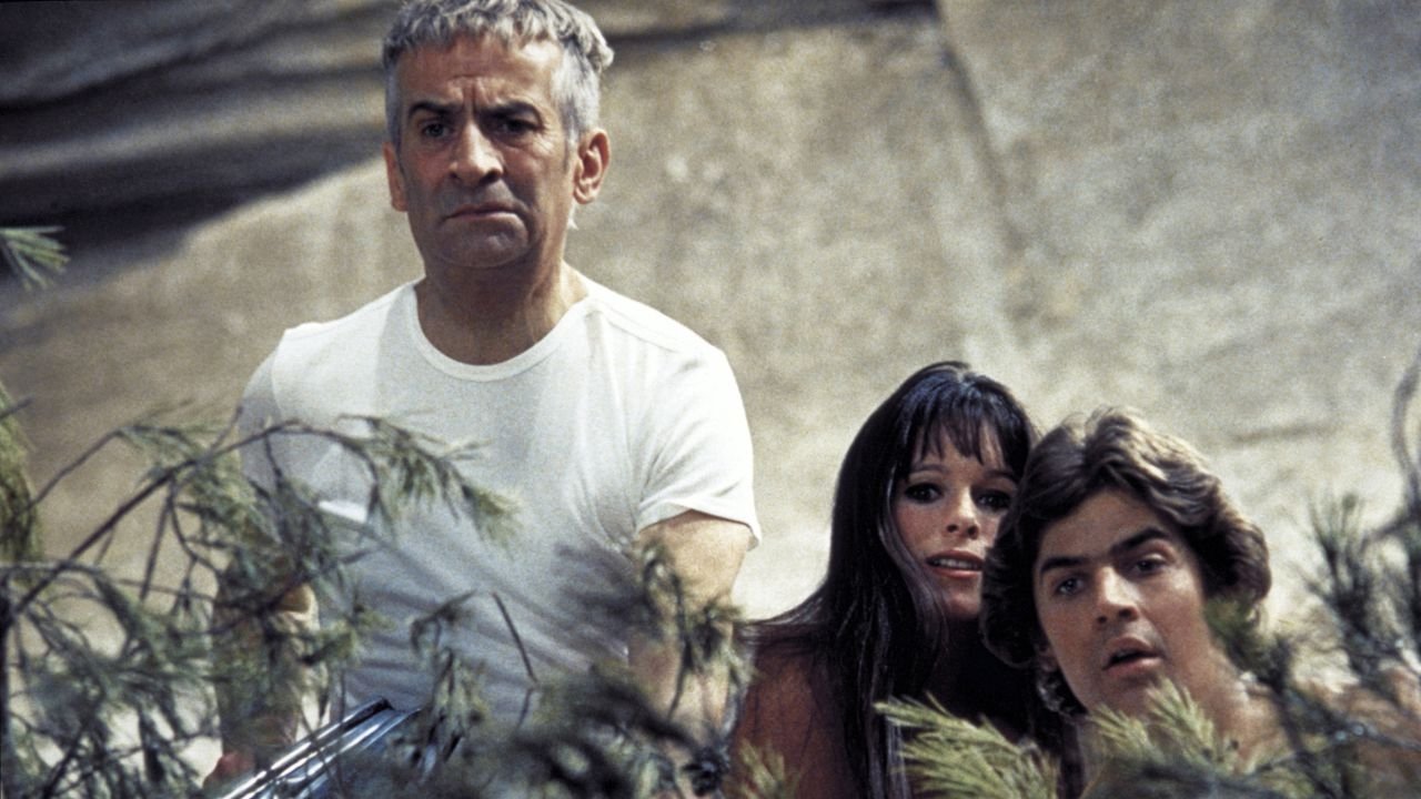 Perched on a Tree Background