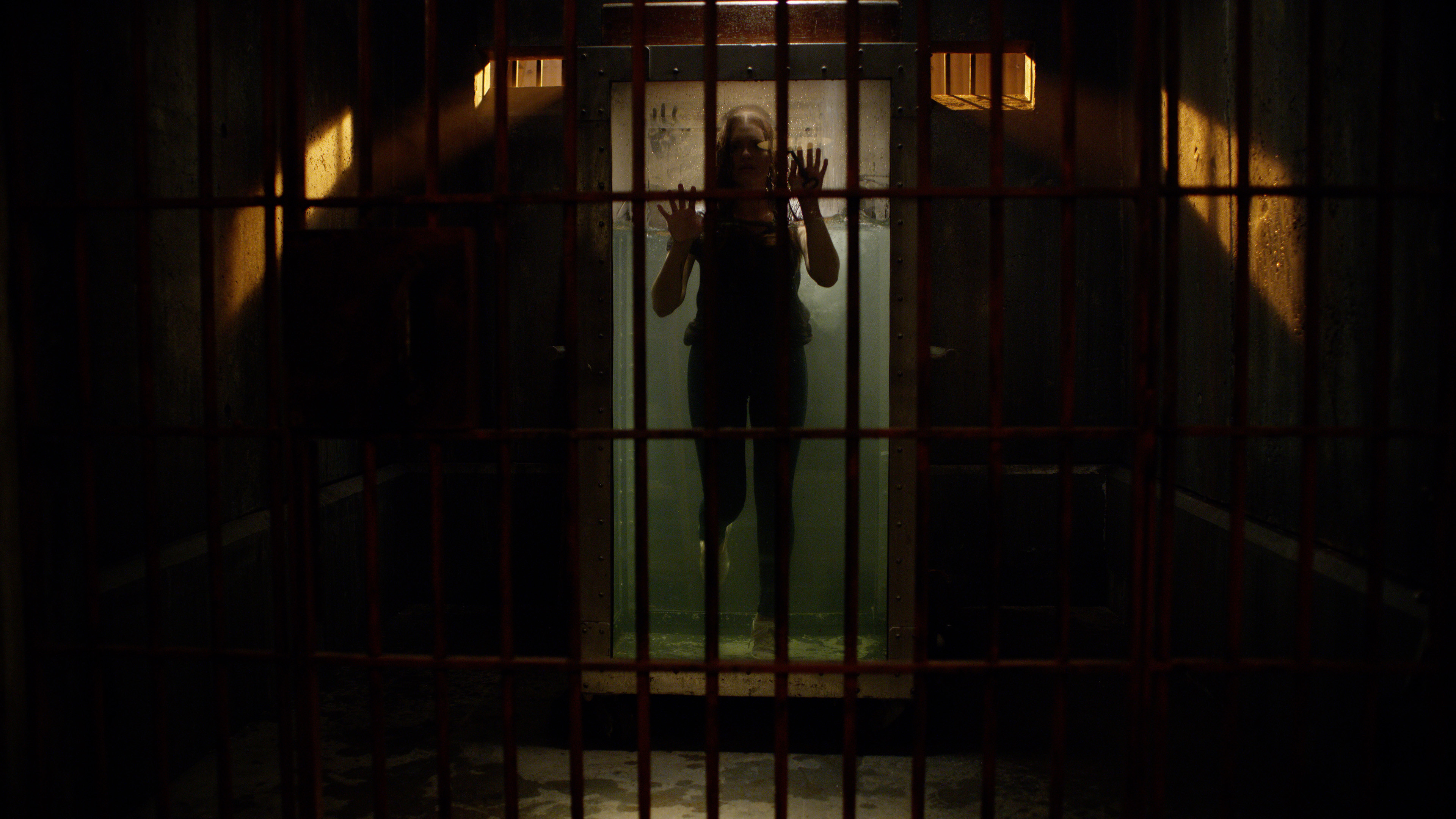 Follow Me Background