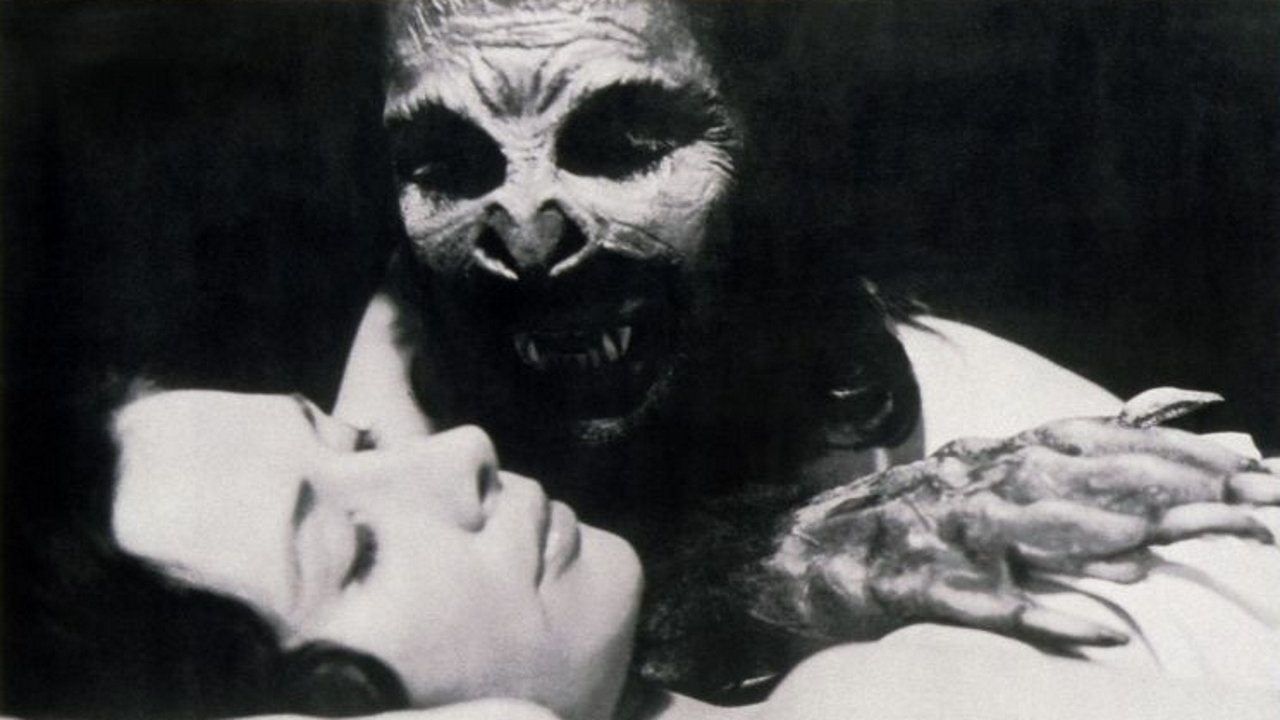 The Bat People Background