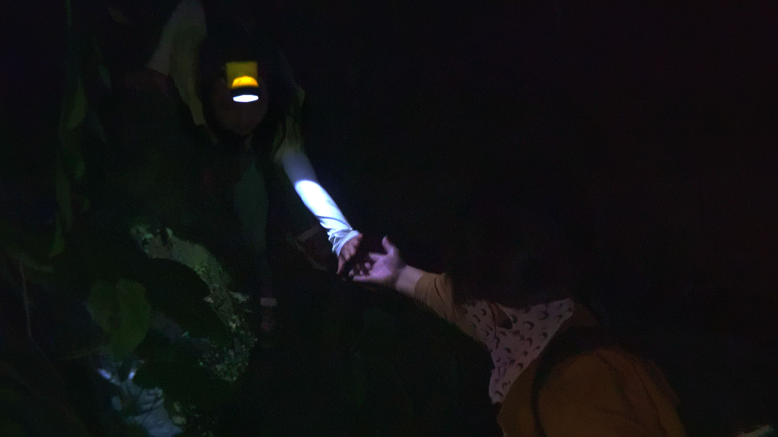 Beyond Utopia Background