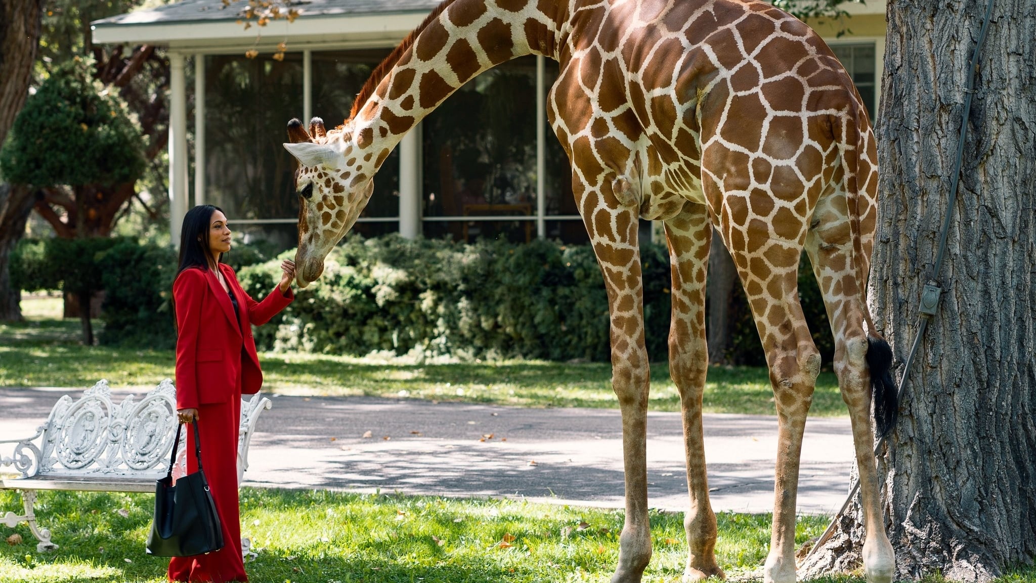 Briarpatch Background