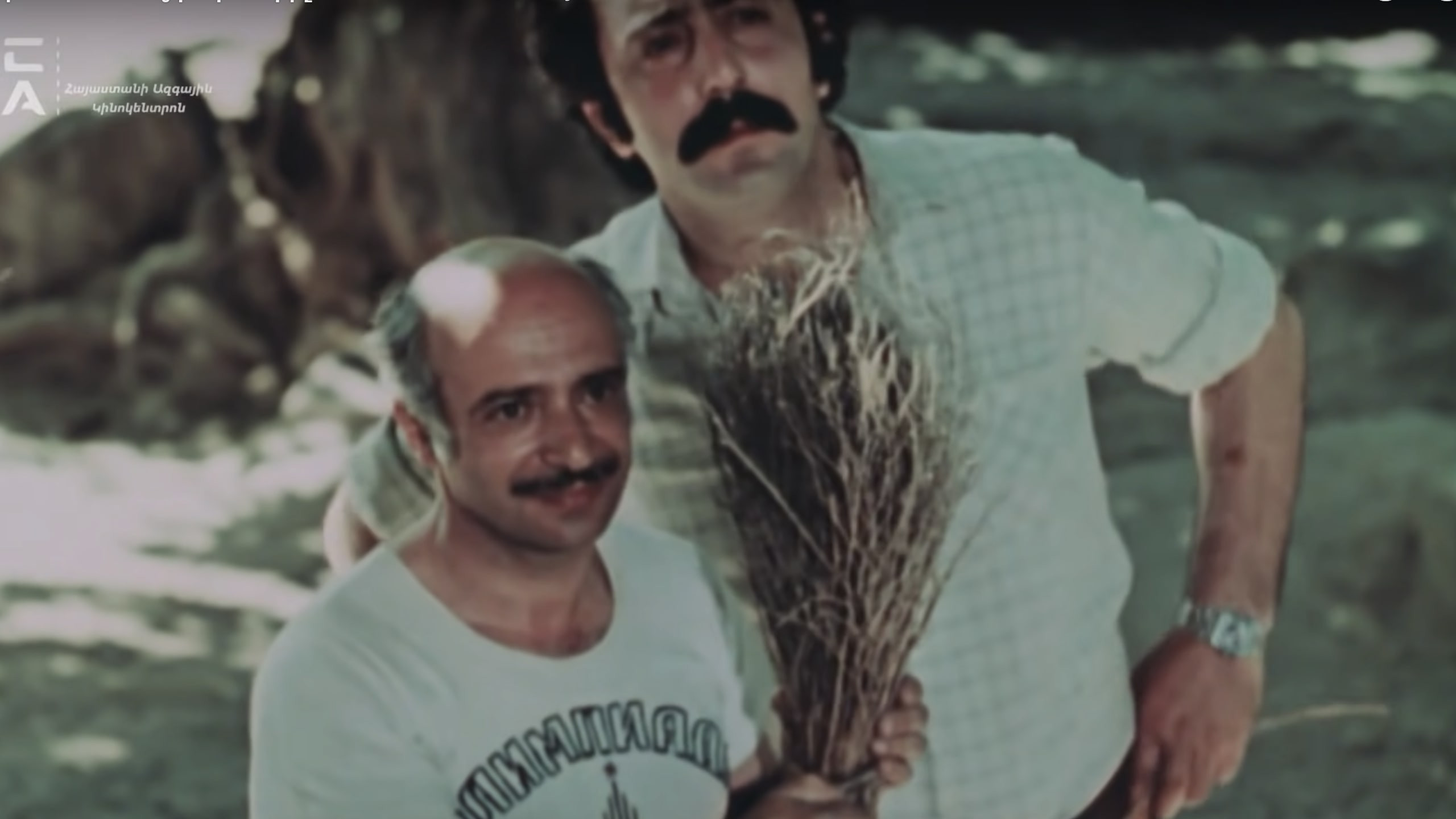 The Mulberry Tree Background