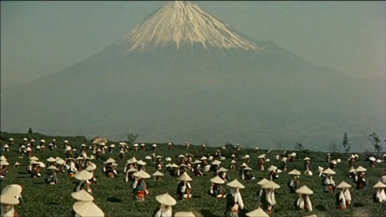 Ishimatsu: the One-Eyed Avenger Background