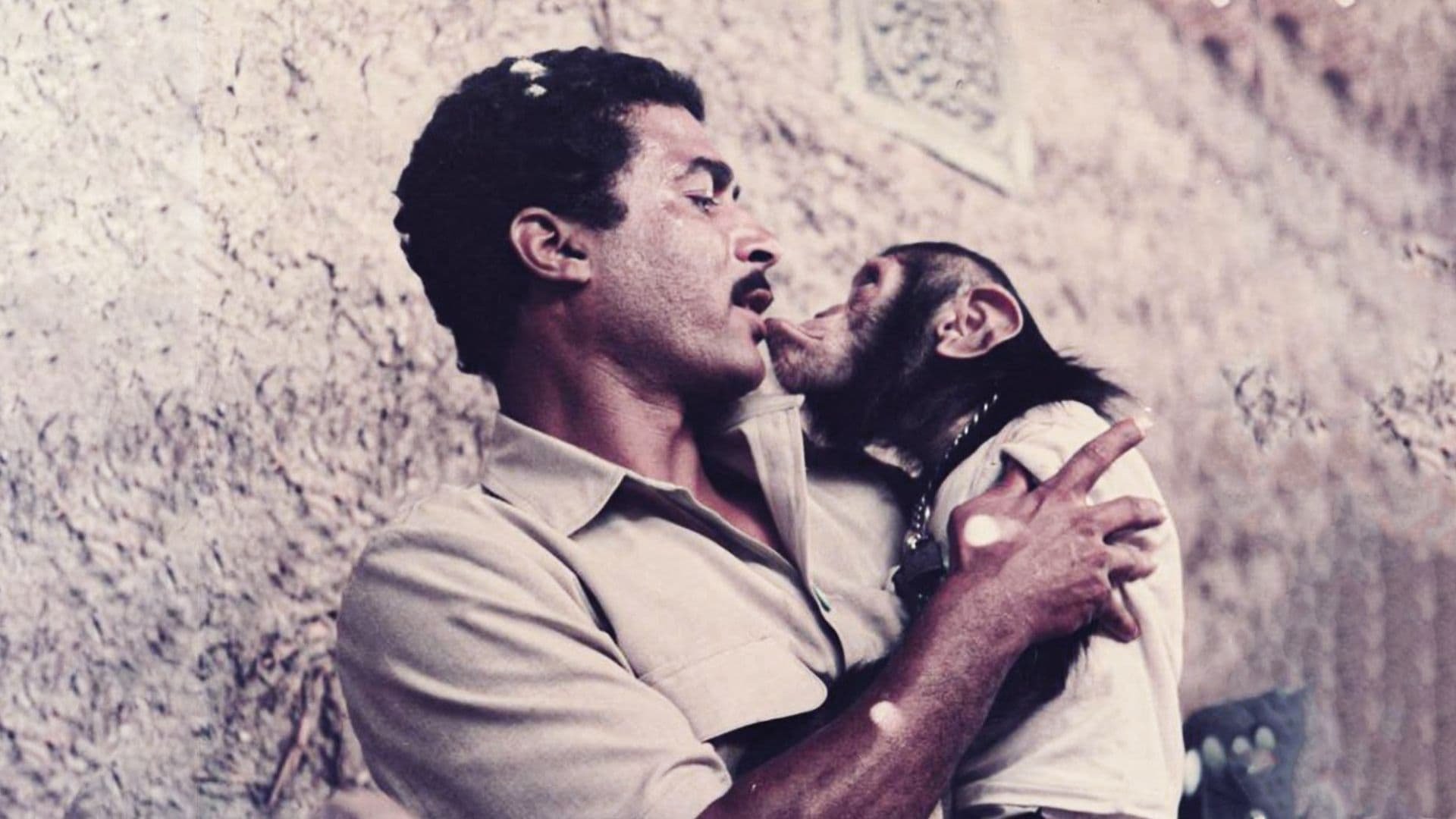 Four On An Official Mission Background