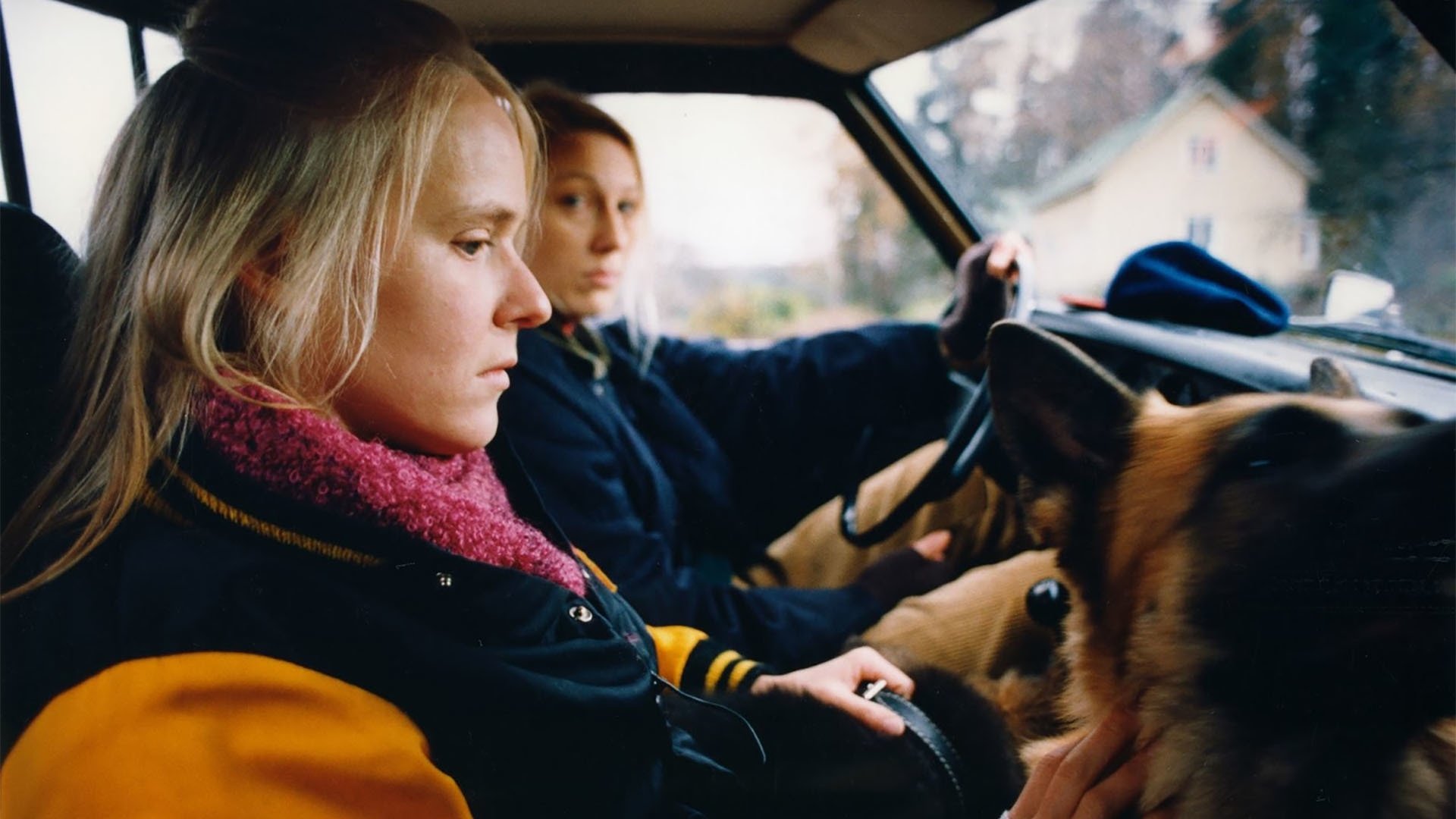 The Collector Background