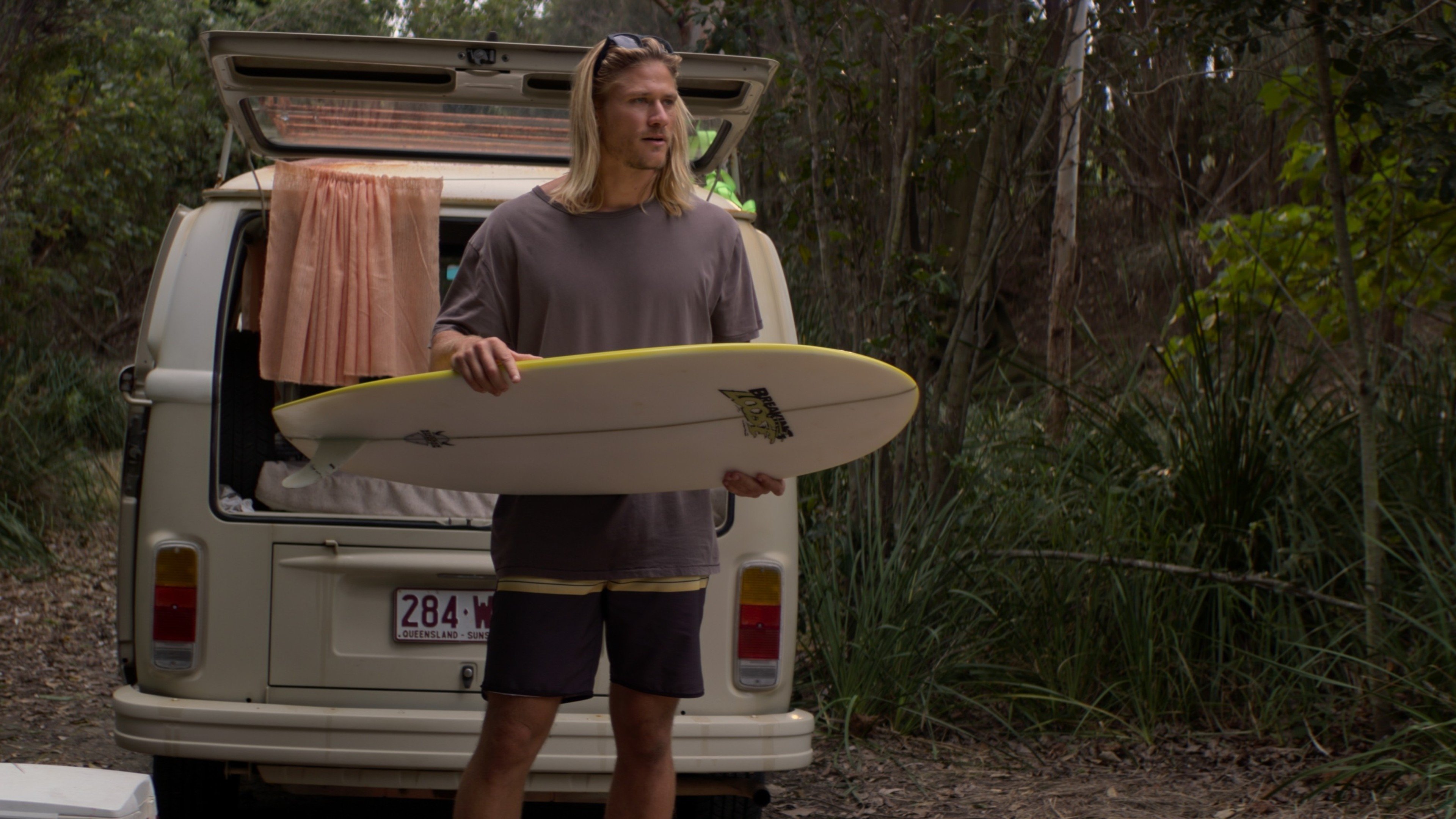 Sons of Summer Background