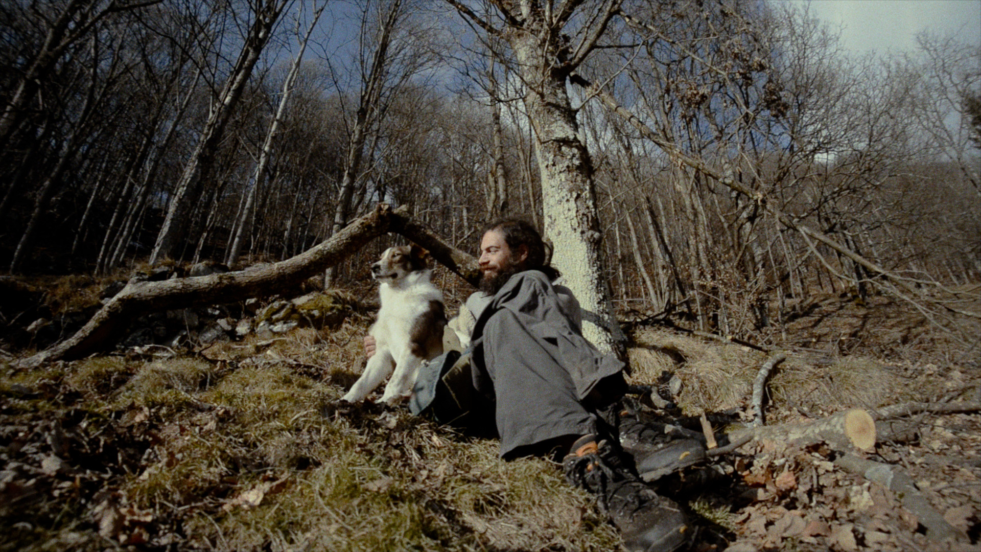 Homo Humilis Background