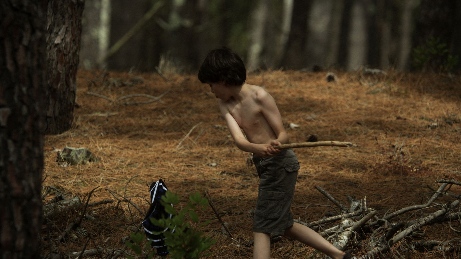 The Swimming Trunks Background