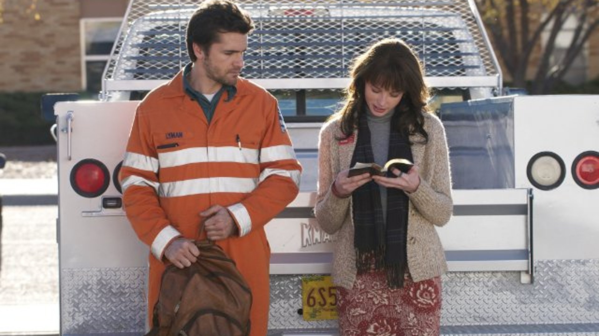 A Bird of the Air Background