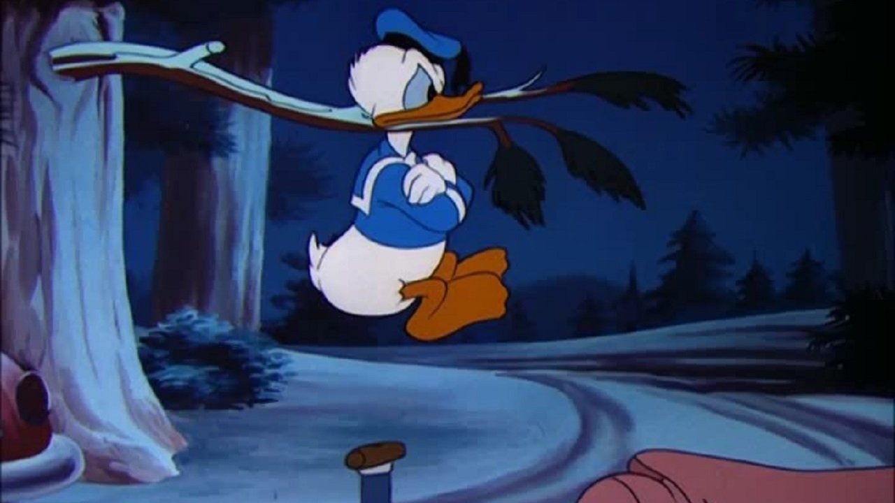 Wide Open Spaces Background