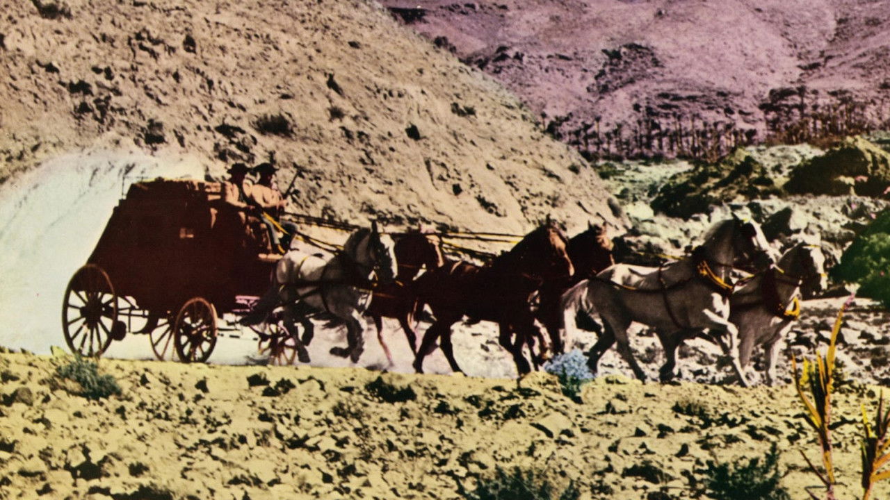 Fedra West Background