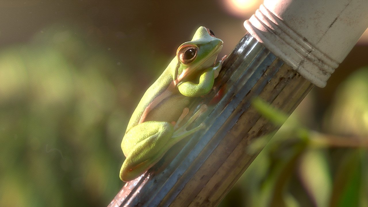 Garden Party Background