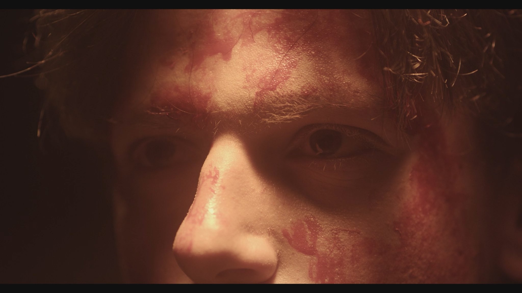 Te Veré Donde Los Árboles Background