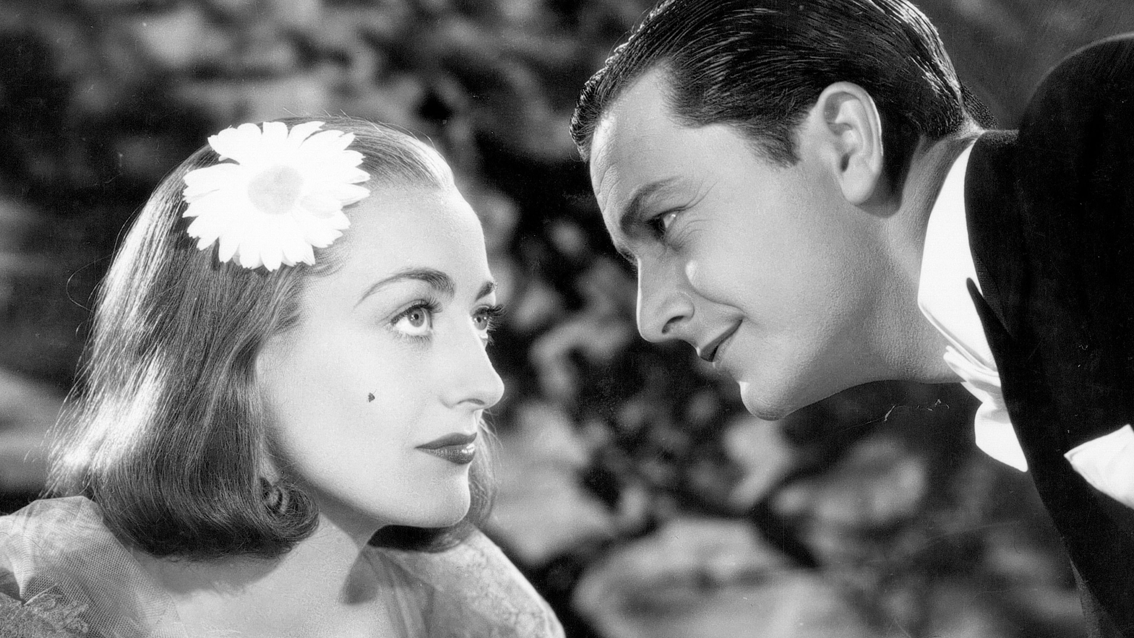 The Bride Wore Red Background