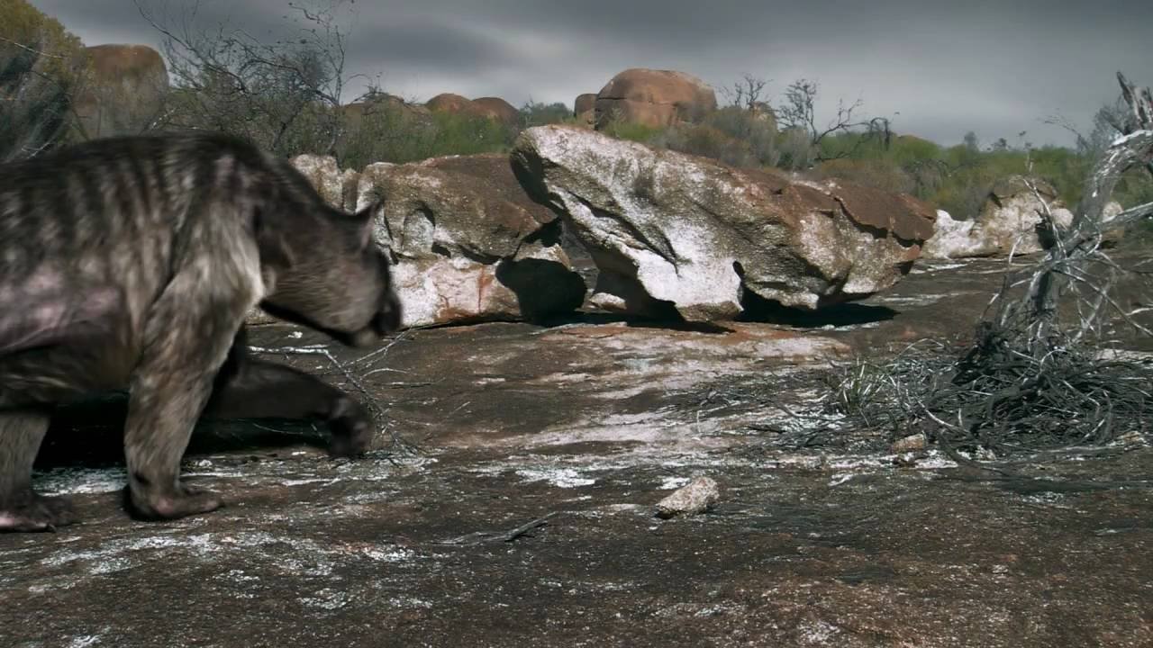 Death of the Megabeasts Background