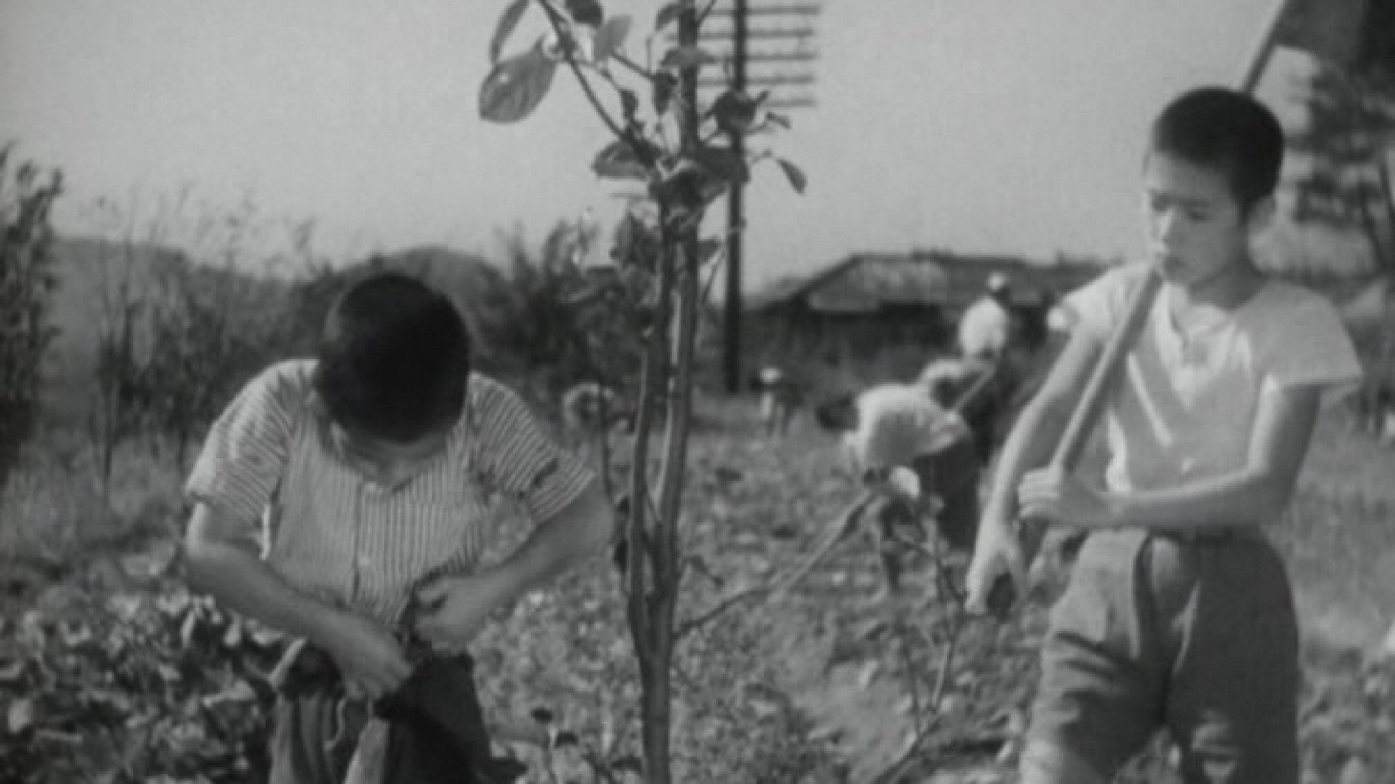 Introspection Tower Background