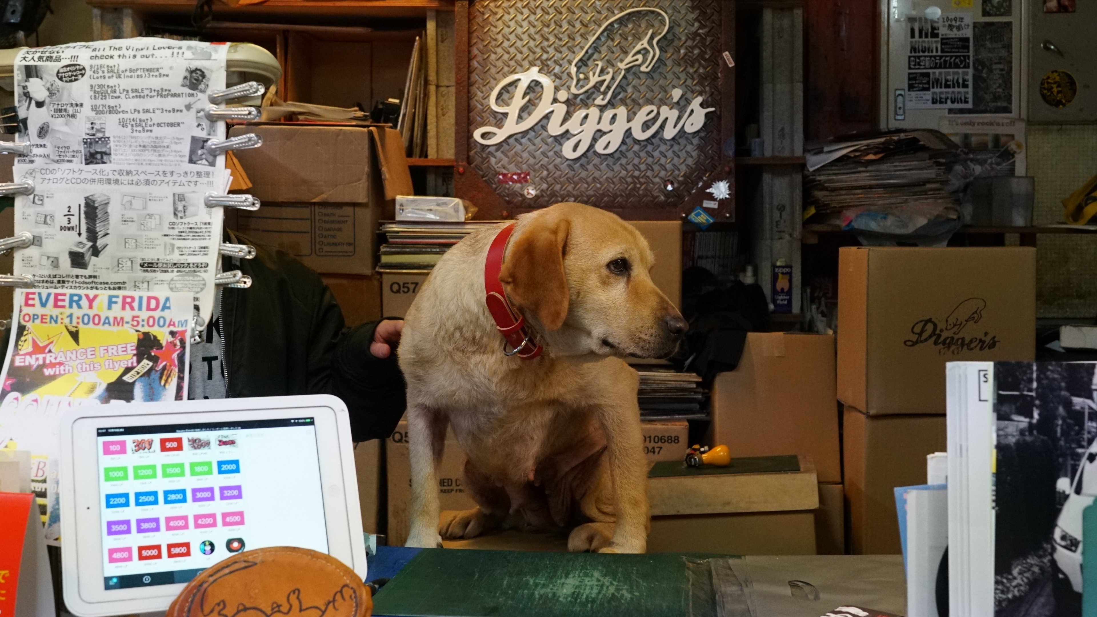 Tonkatsu DJ Agetaro Background