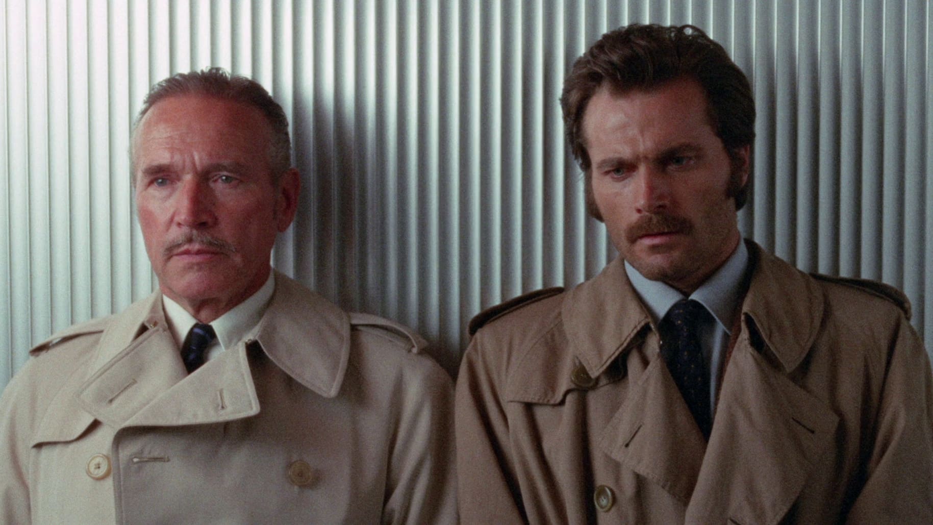 The Fifth Cord Background