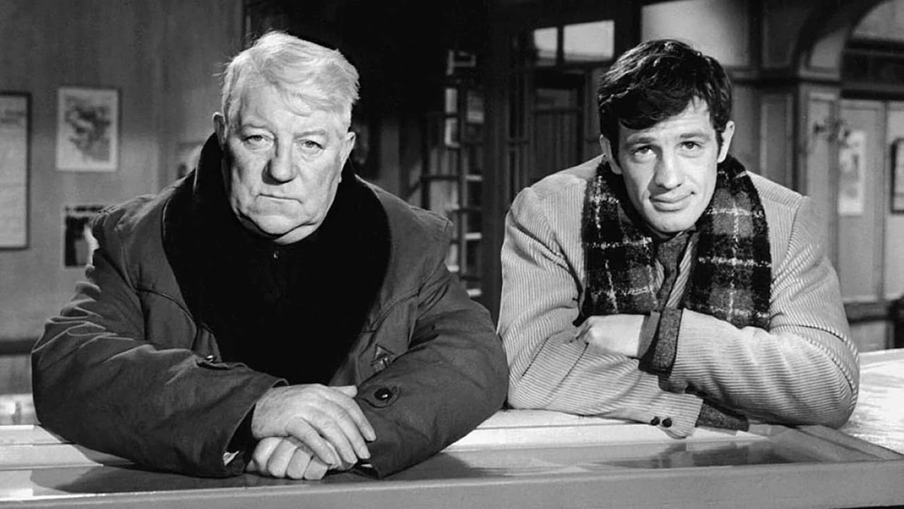 A Monkey in Winter Background