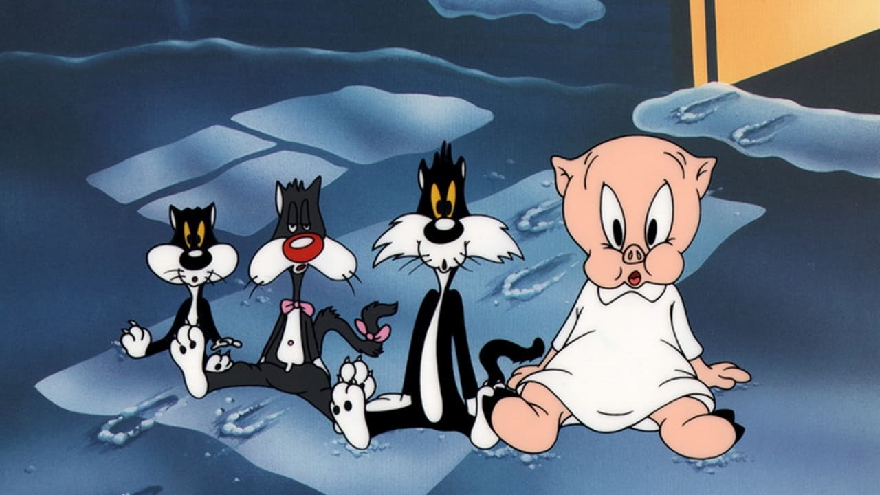 Kitty Kornered Background