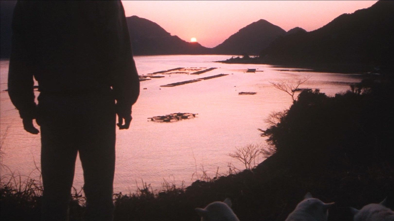 Fire Festival Background