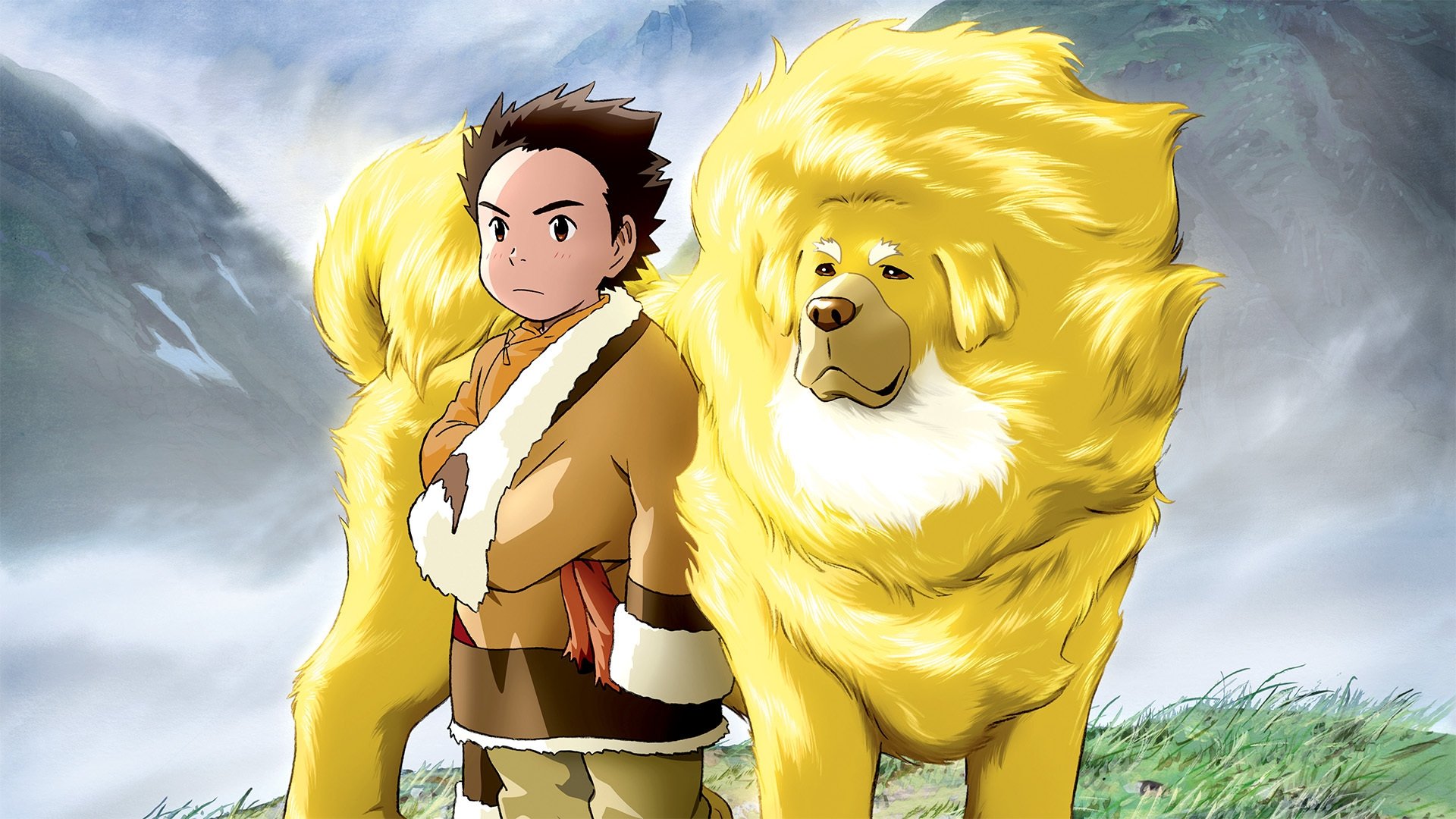 Tibetan Dog Background