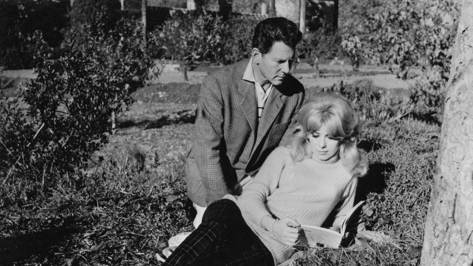 Portuguese Vacation Background