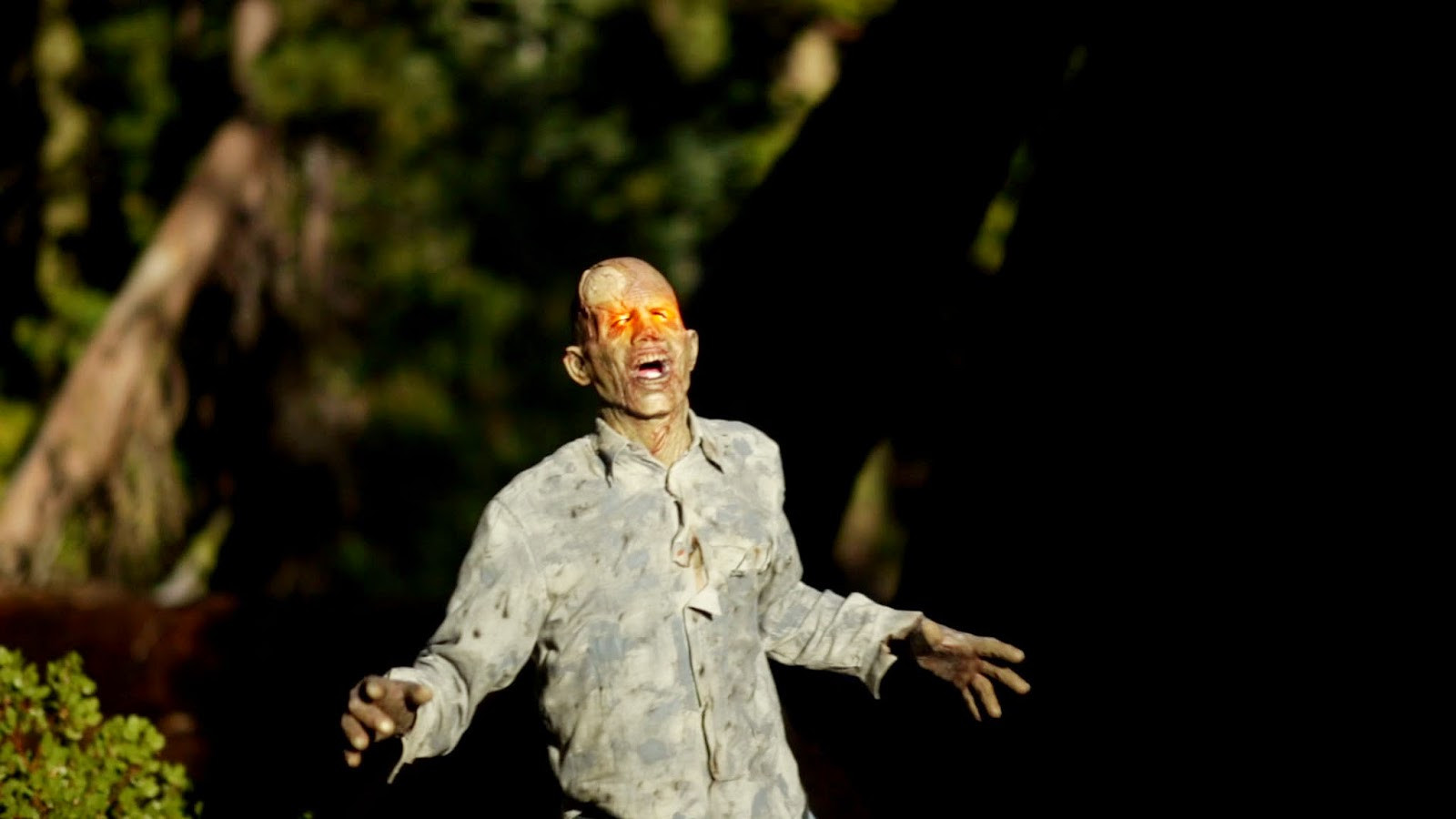 The Burning Dead Background