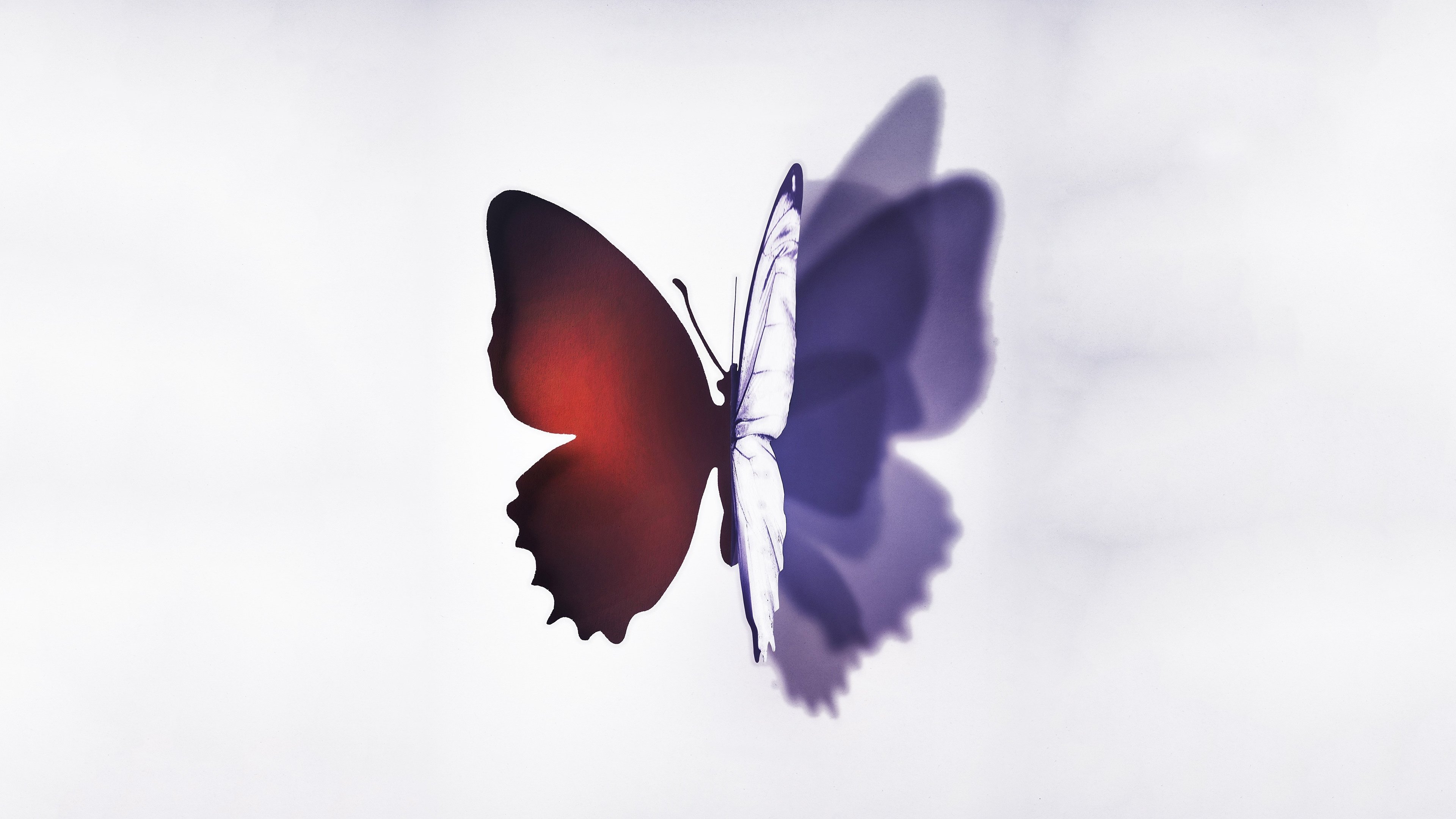 Complete Unknown Background