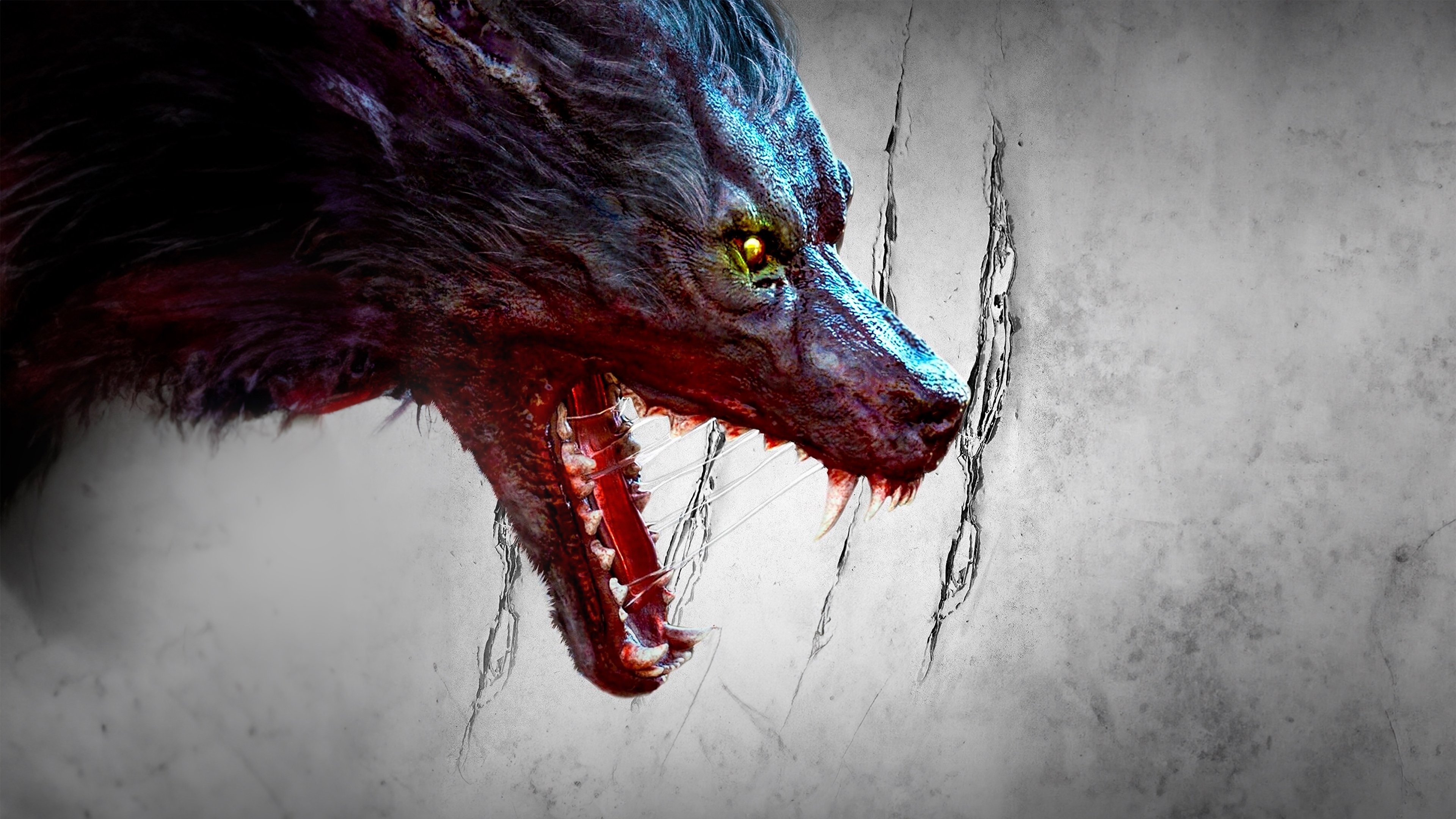 The Hunting Background