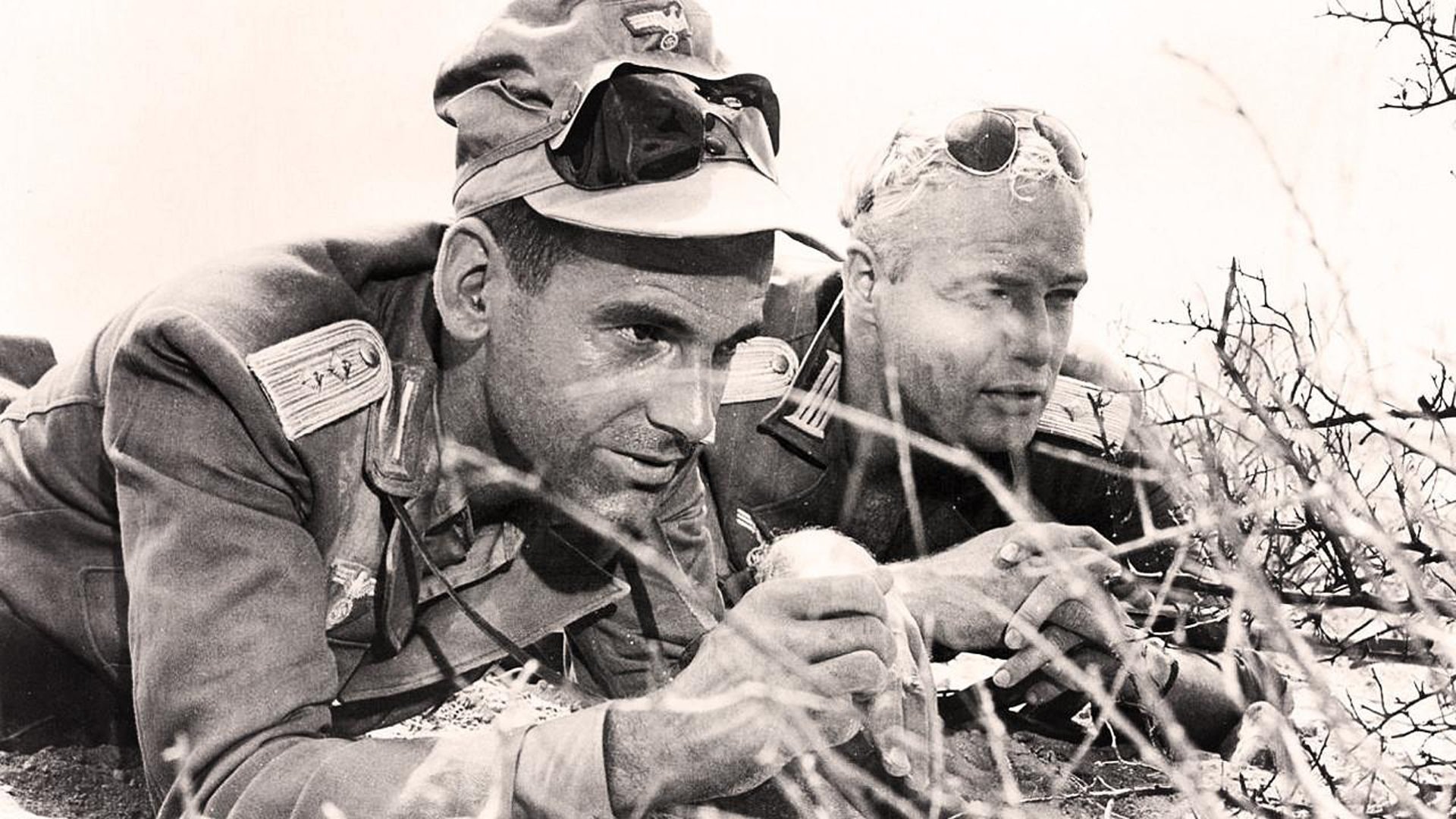 The Young Lions Background