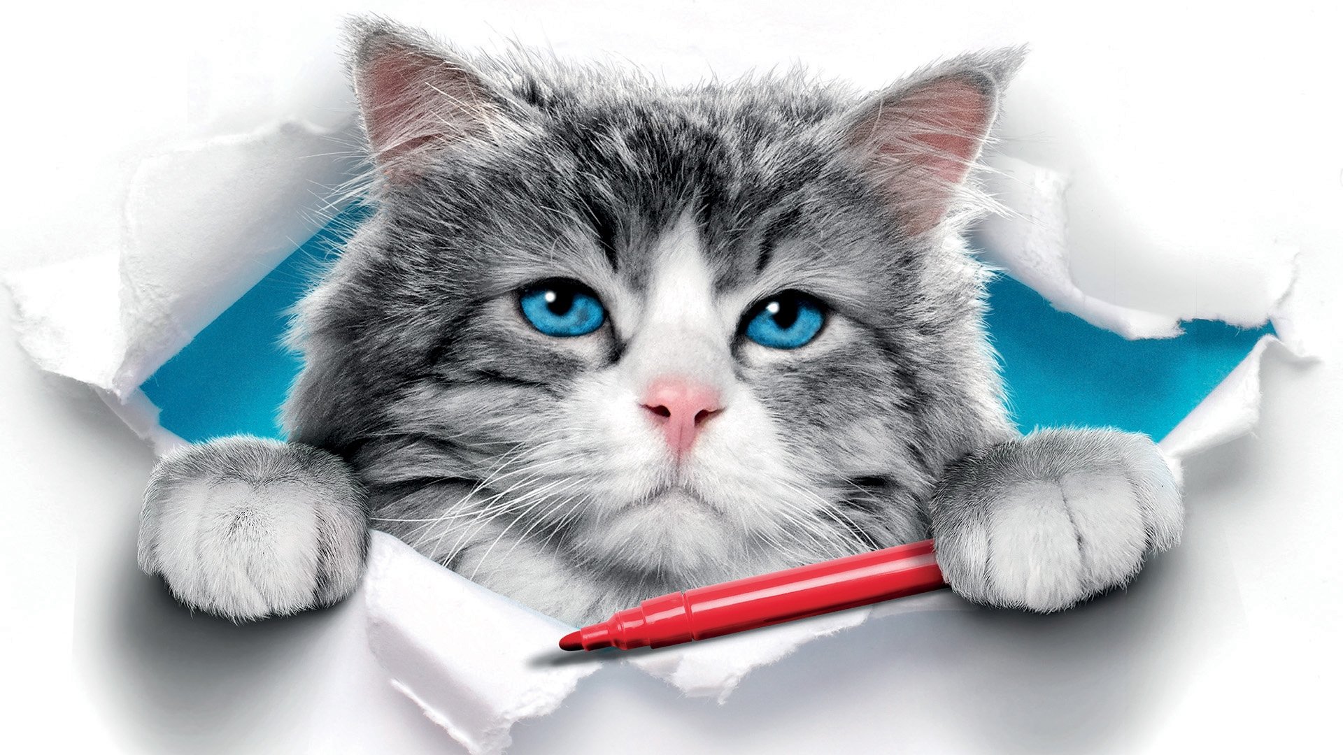 Nine Lives Background