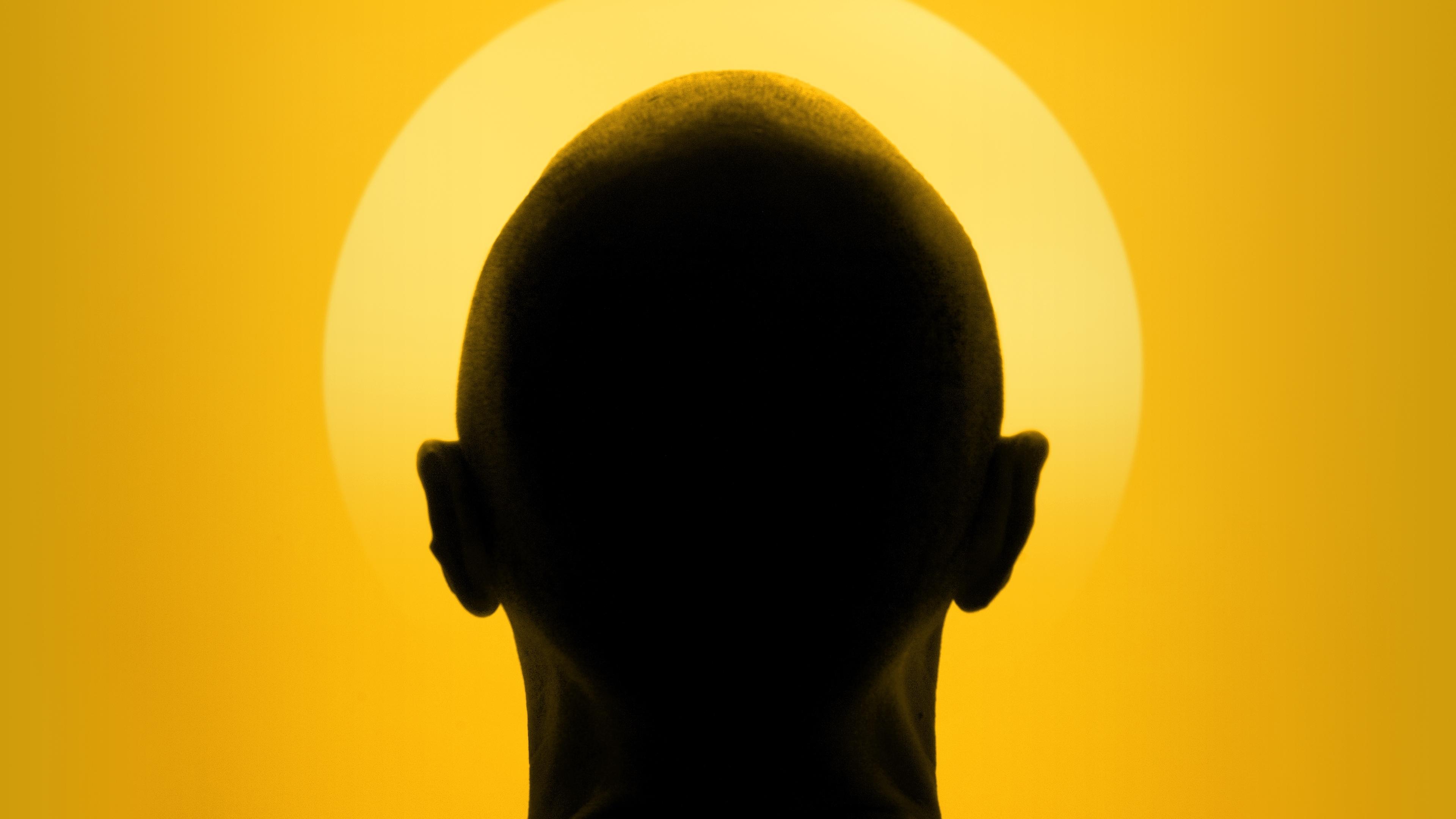 The Moaning of Life Background