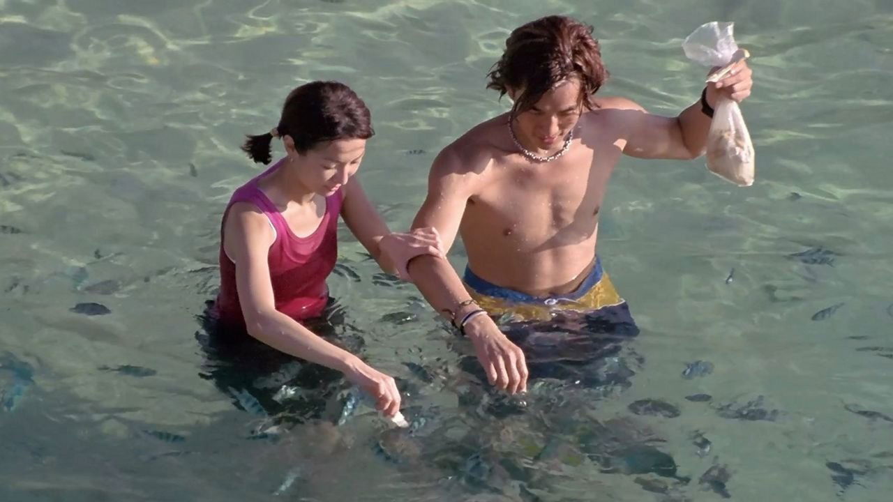 Summer Holiday Background