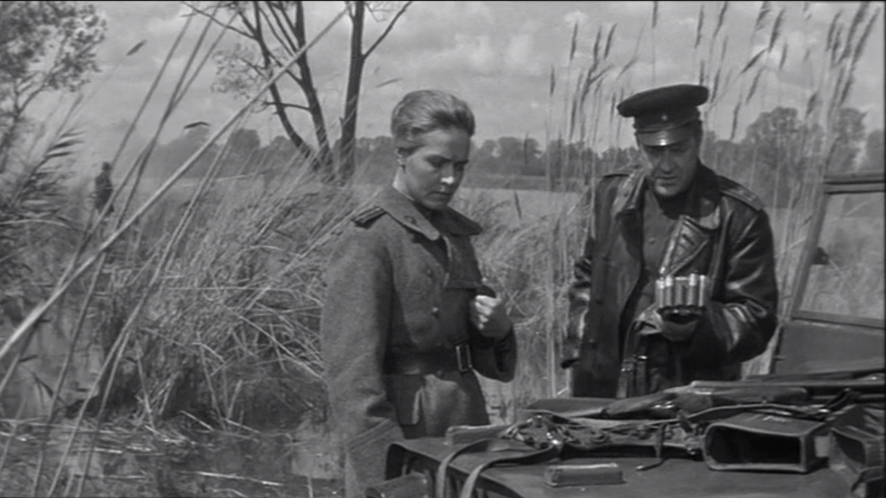 Spring on the Oder Background