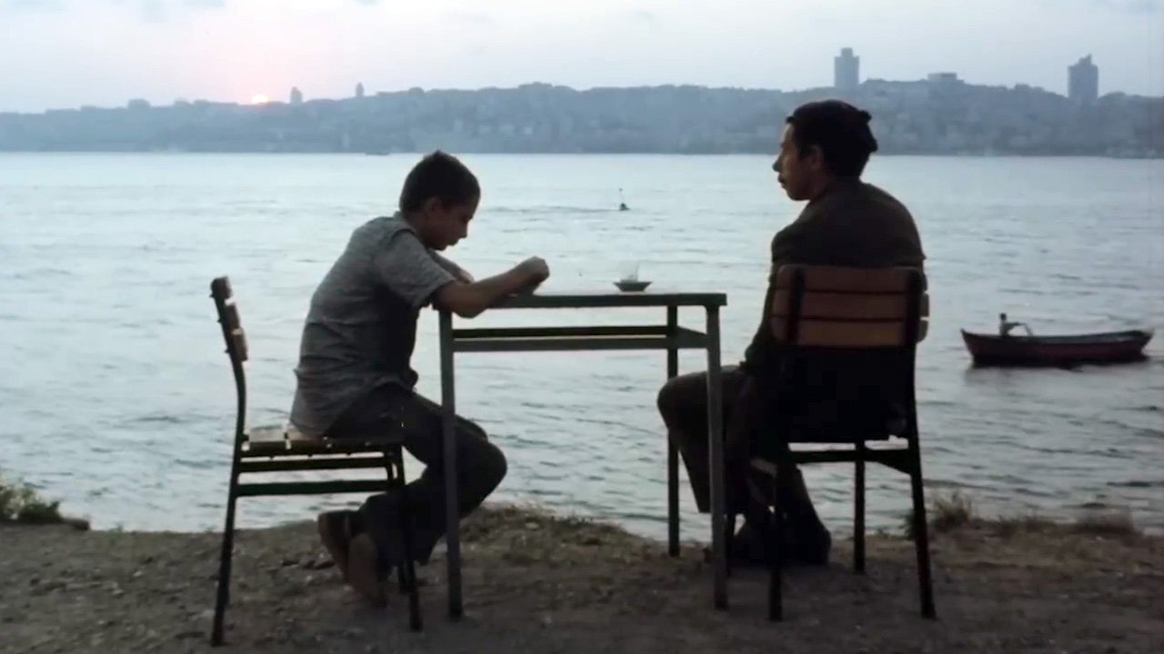 The Horse Background