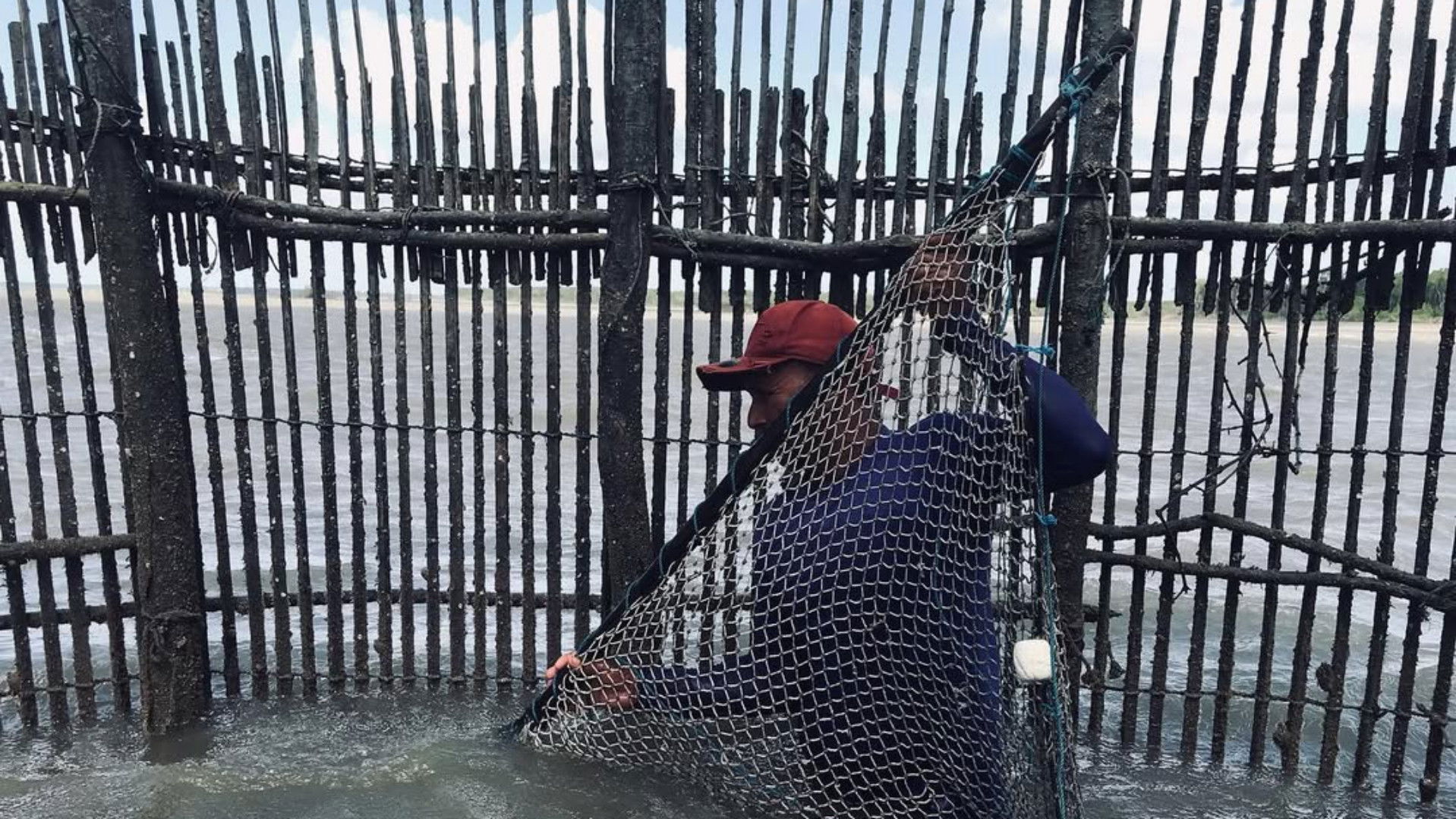 Peixe com Farinha Background