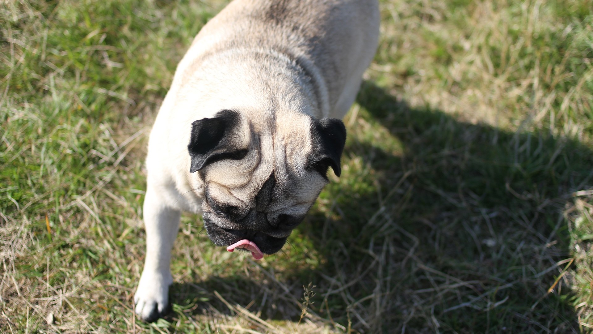 Perspective Background