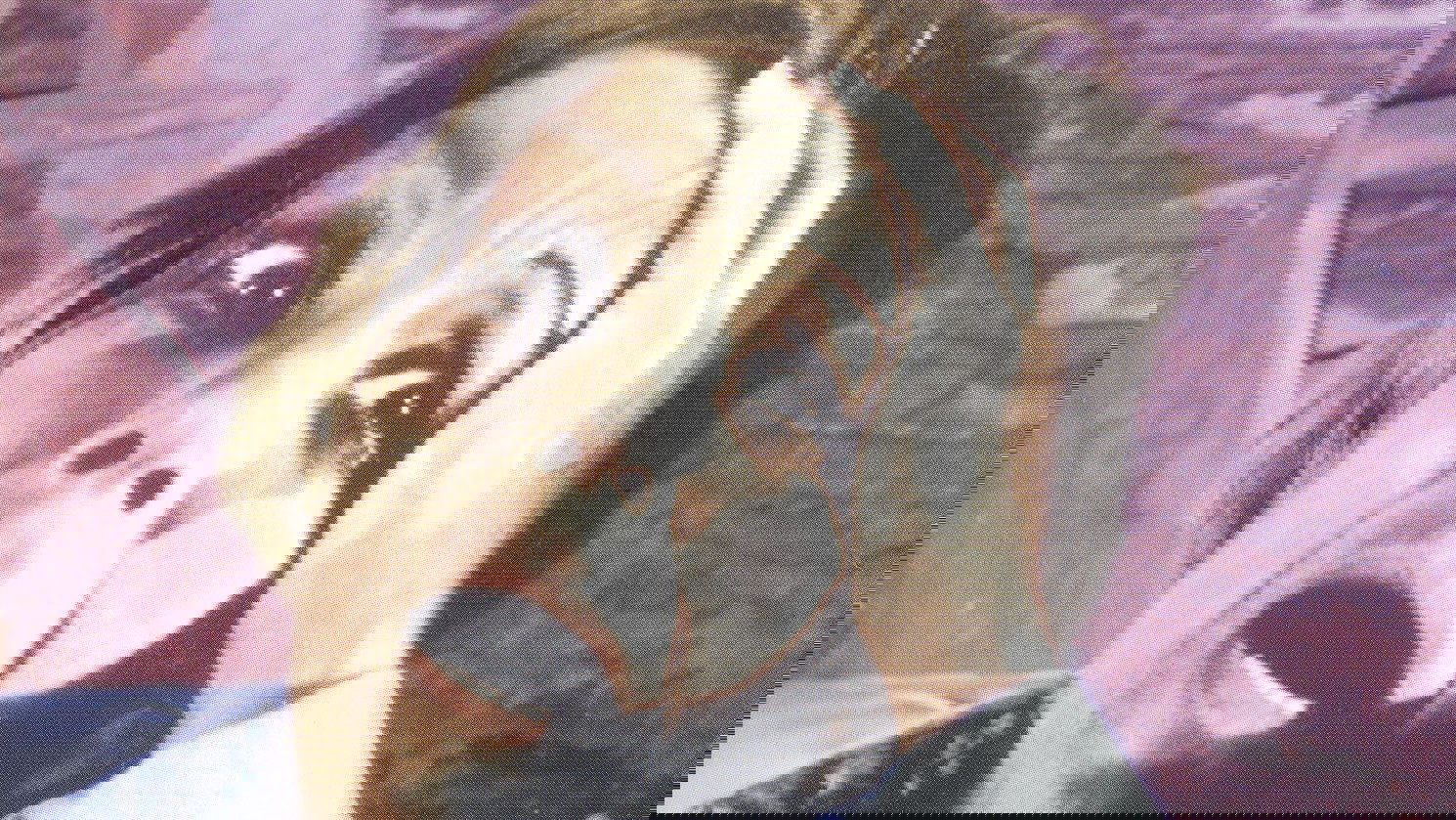 Don't Look in the Basement Background