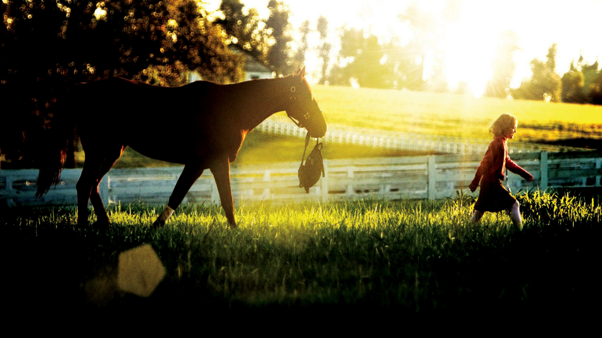 Dreamer: Inspired By a True Story Background